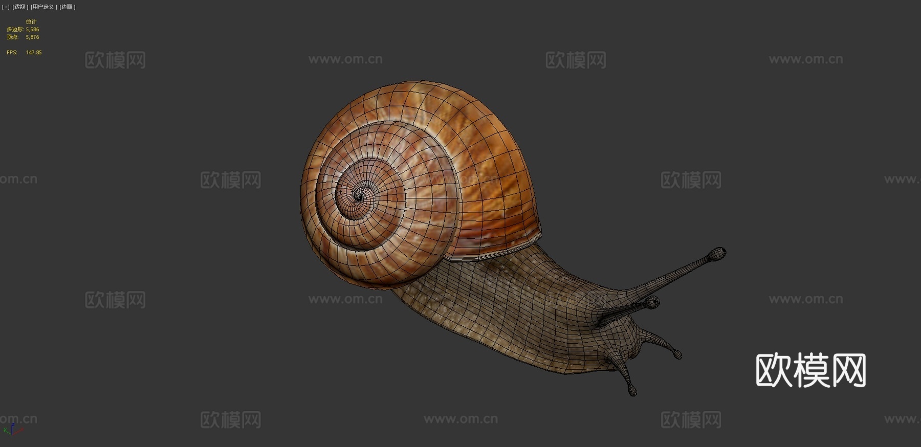 蜗牛3d模型