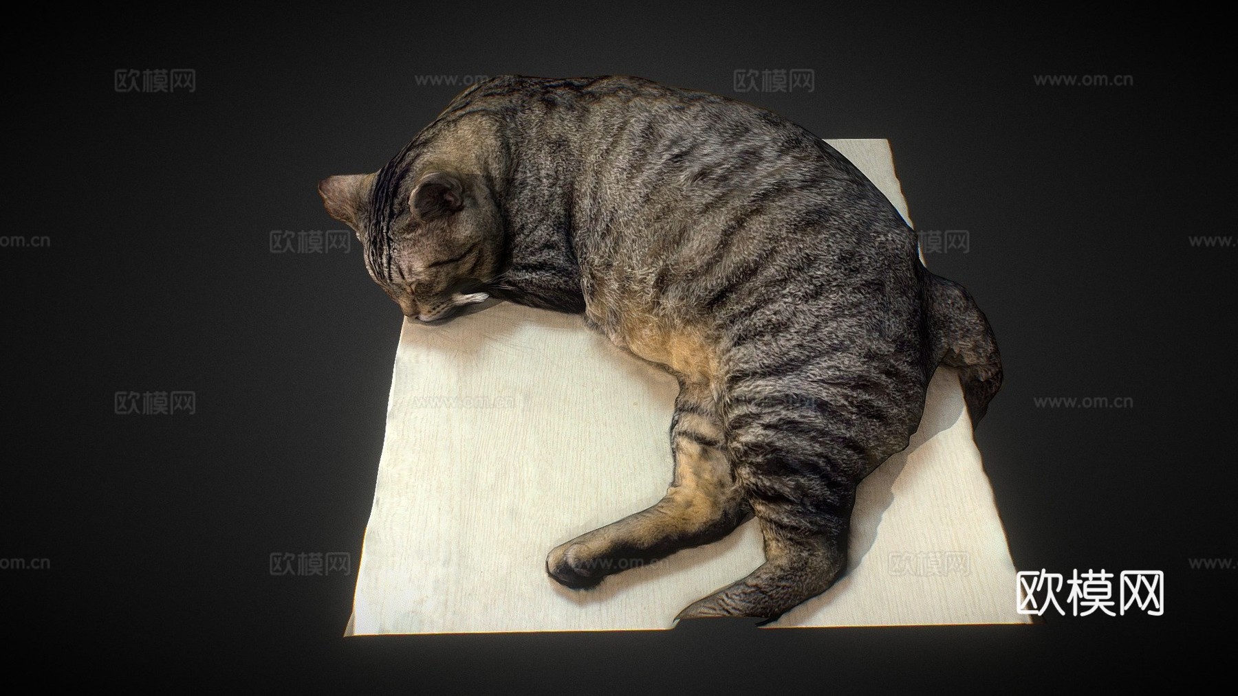 桌上睡猫-3D扫描3d模型