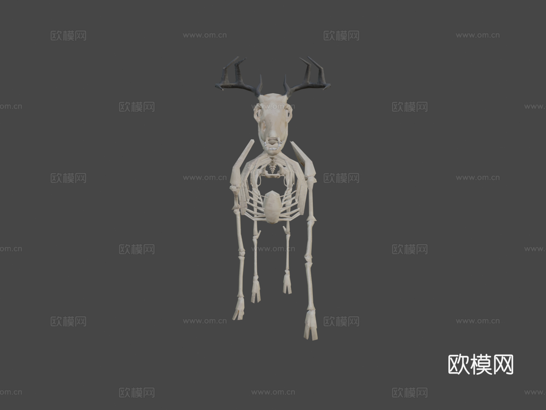 低多边形鹿骨架3d模型