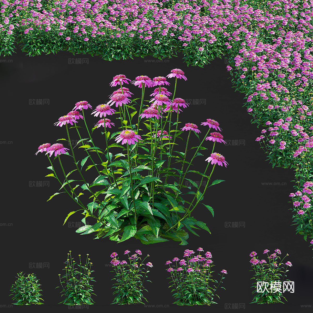 花瓶花卉3d模型