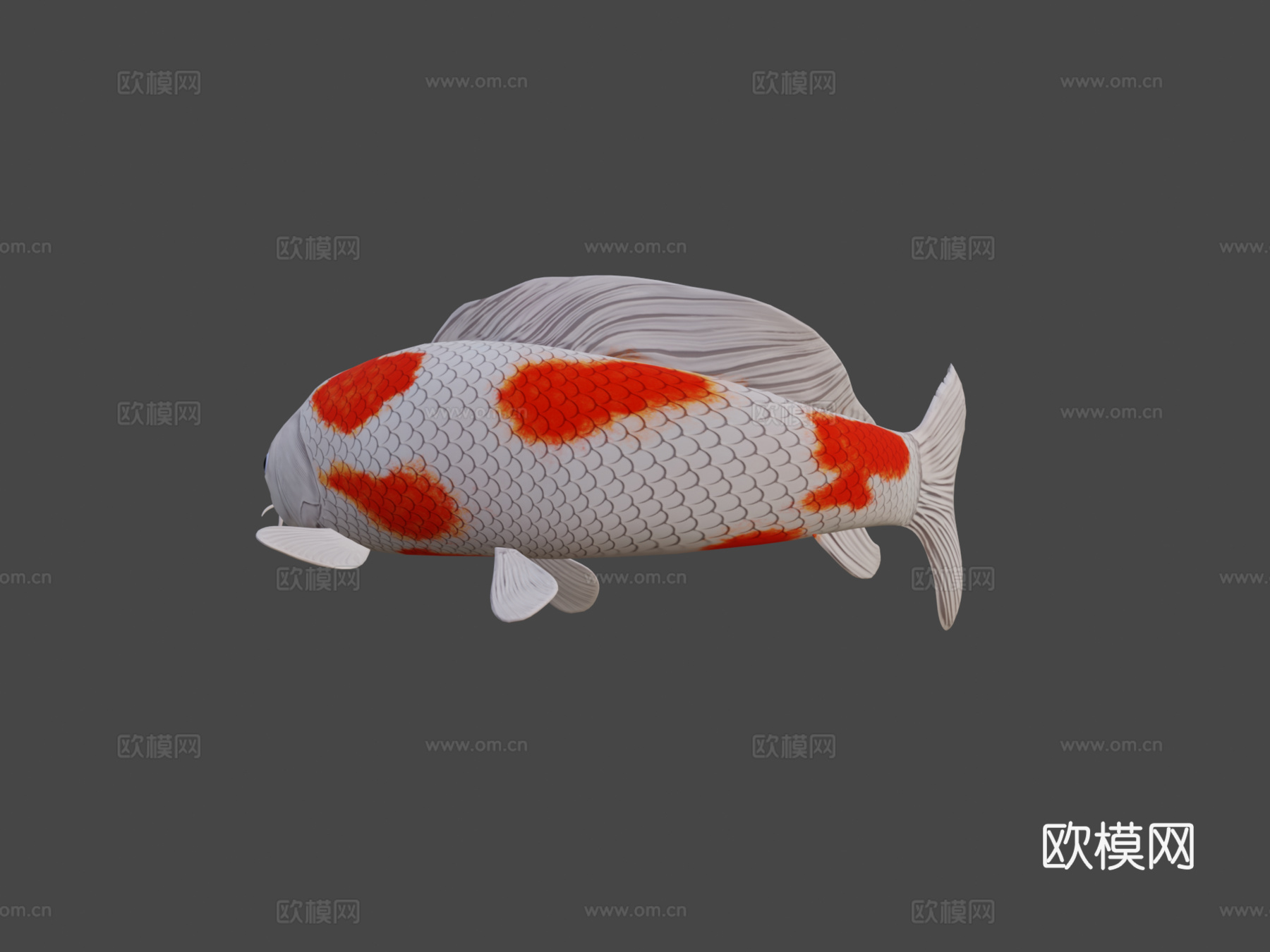 锦鲤3d模型