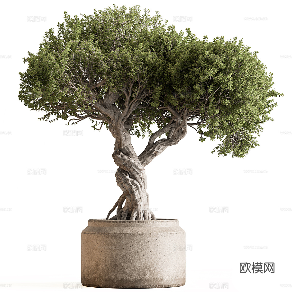 新中式侘寂绿植盆栽3d模型