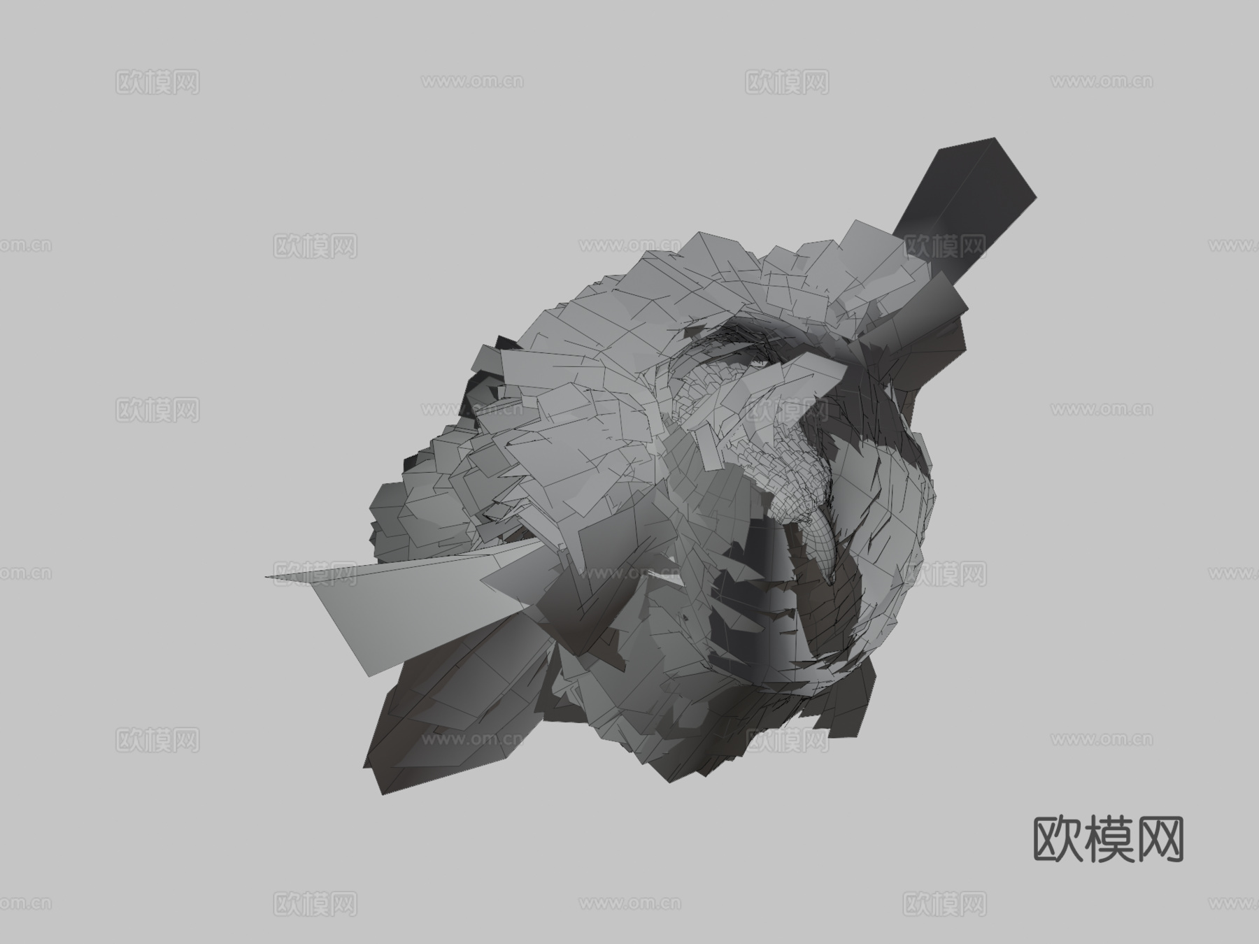 白头海雕3d模型