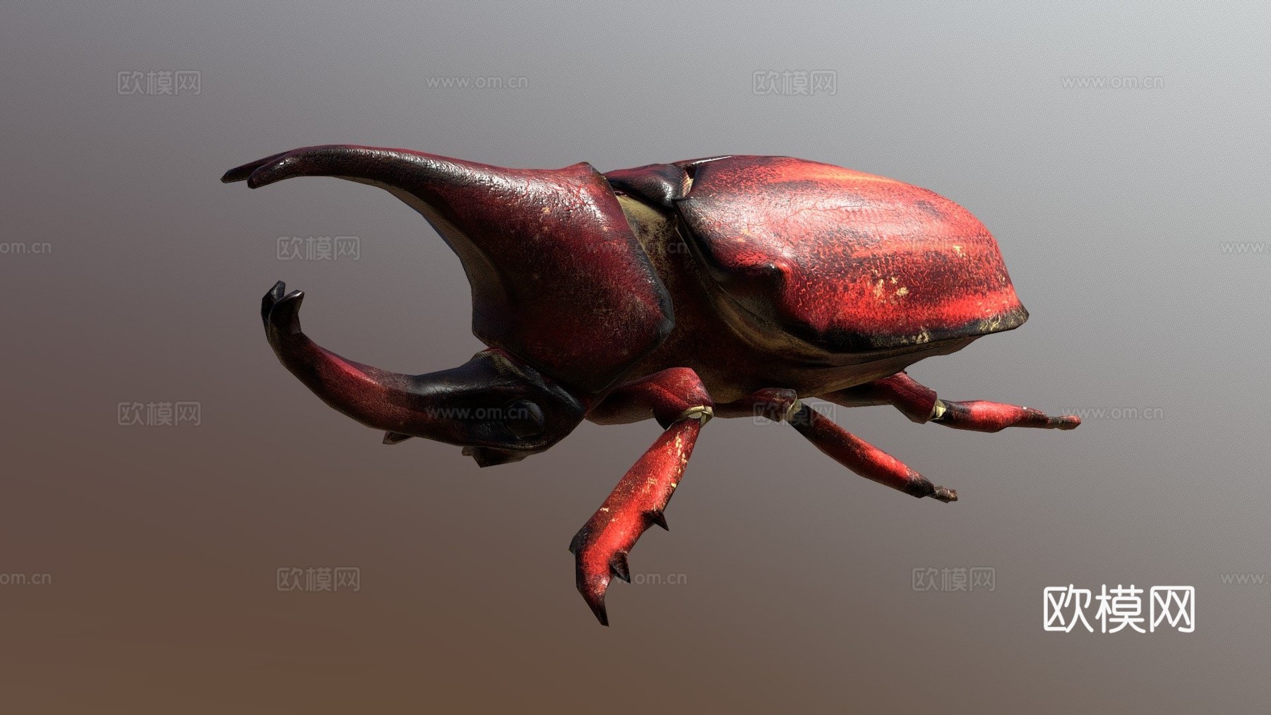 犀牛甲虫3d模型
