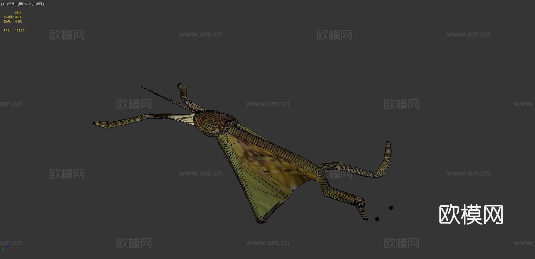 A模型-亚成年绿海龟3d模型
