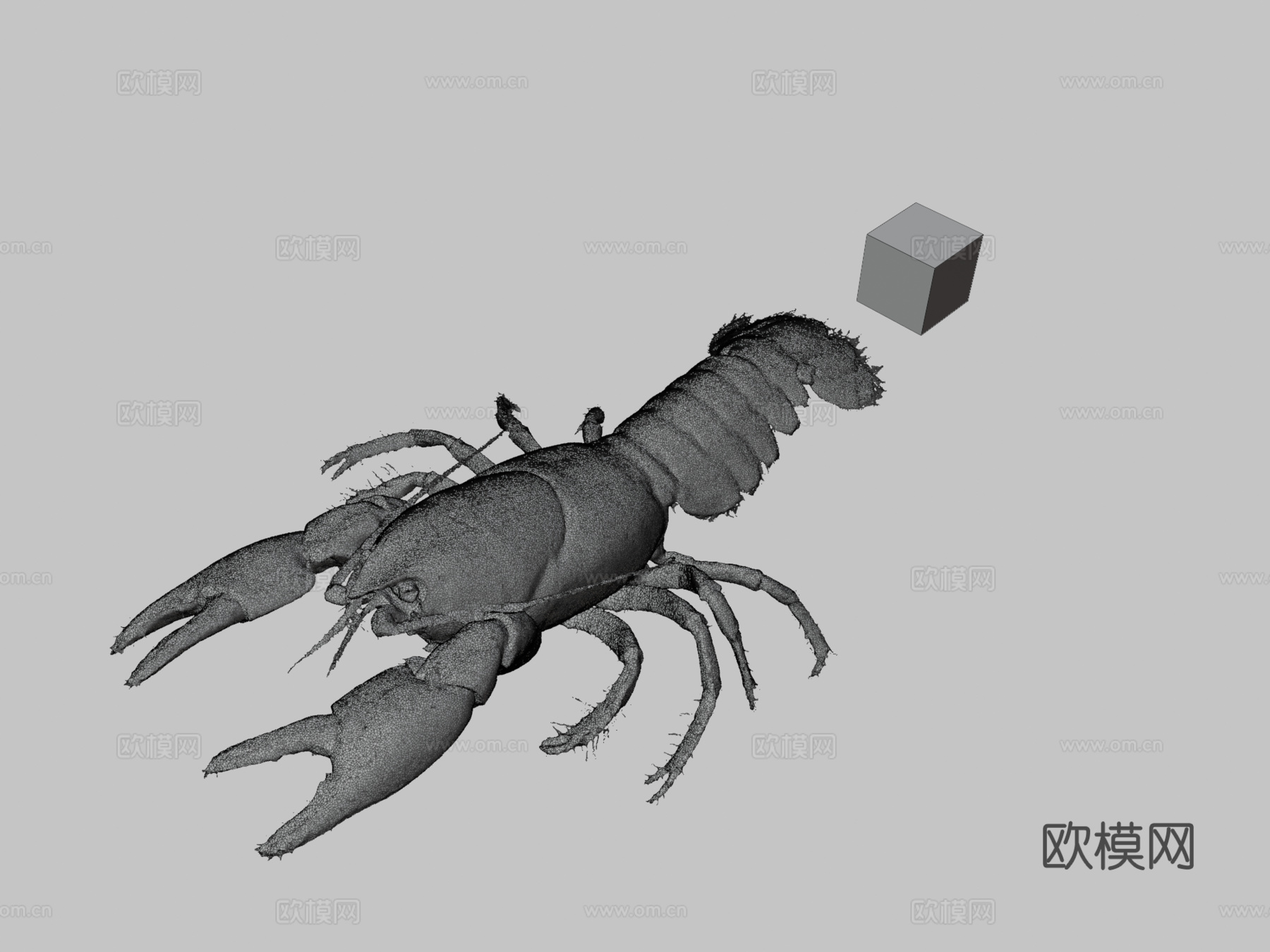 CC0日本蝲蛄?♀日本小龙虾3d模型
