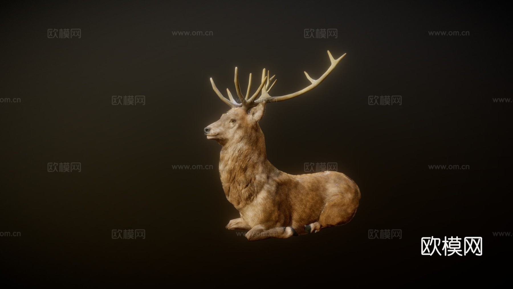 雄鹿动画3d模型