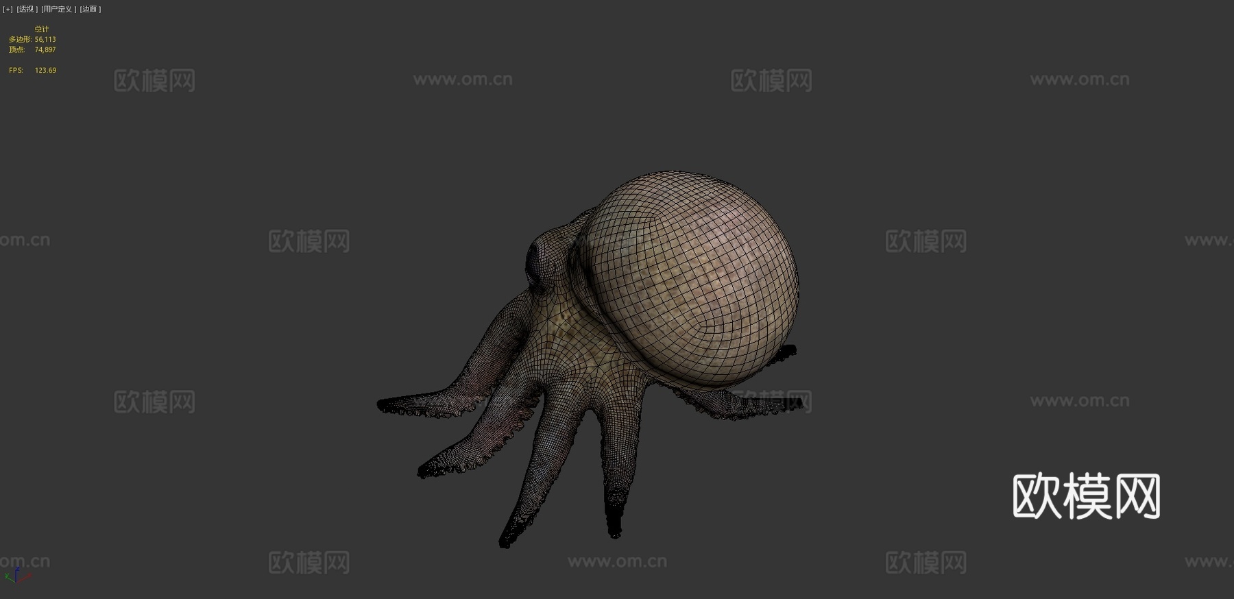 小章鱼3d模型