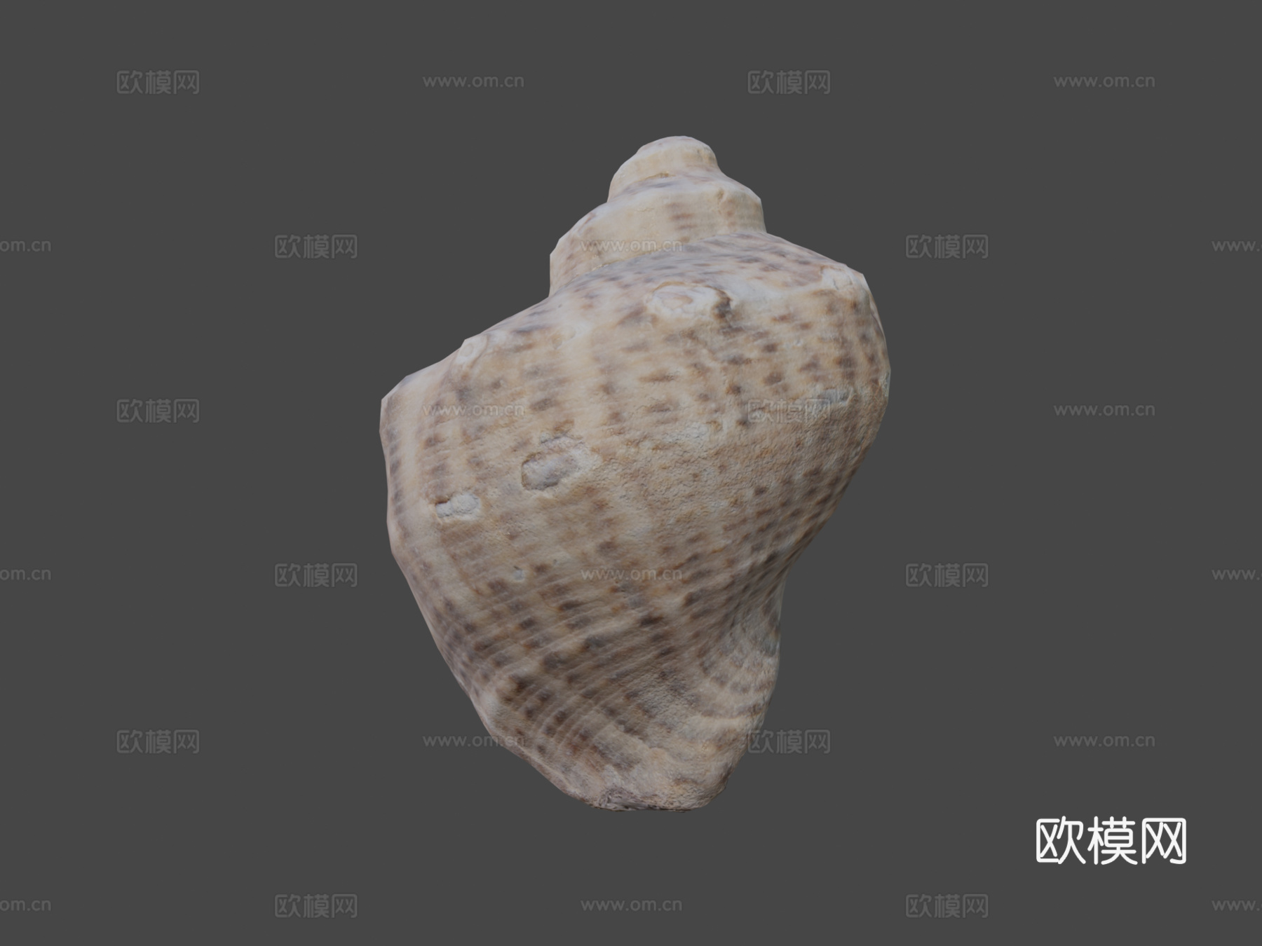 贝壳-PBR游戏道具3d模型