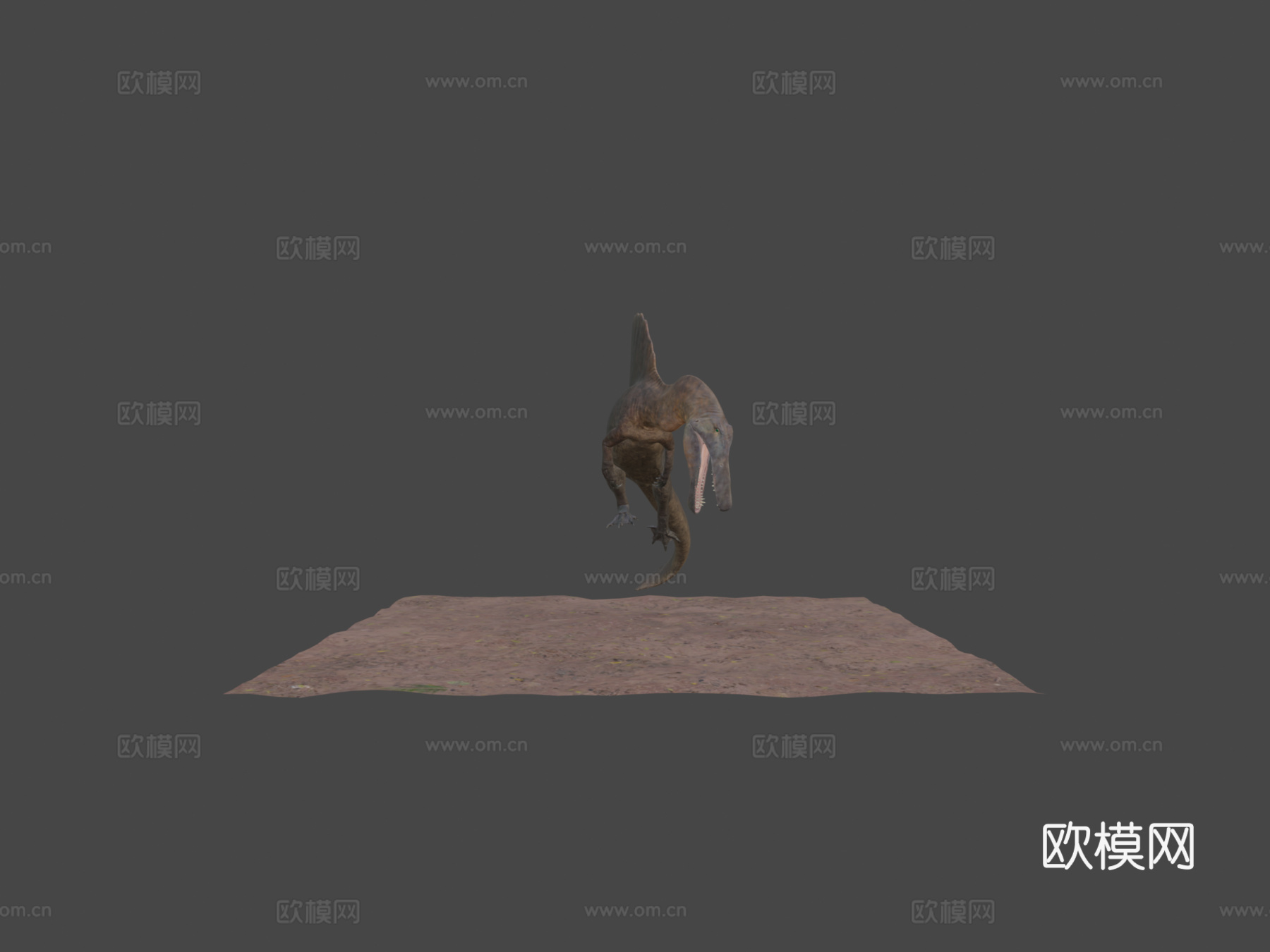 游泳棘龙3d模型