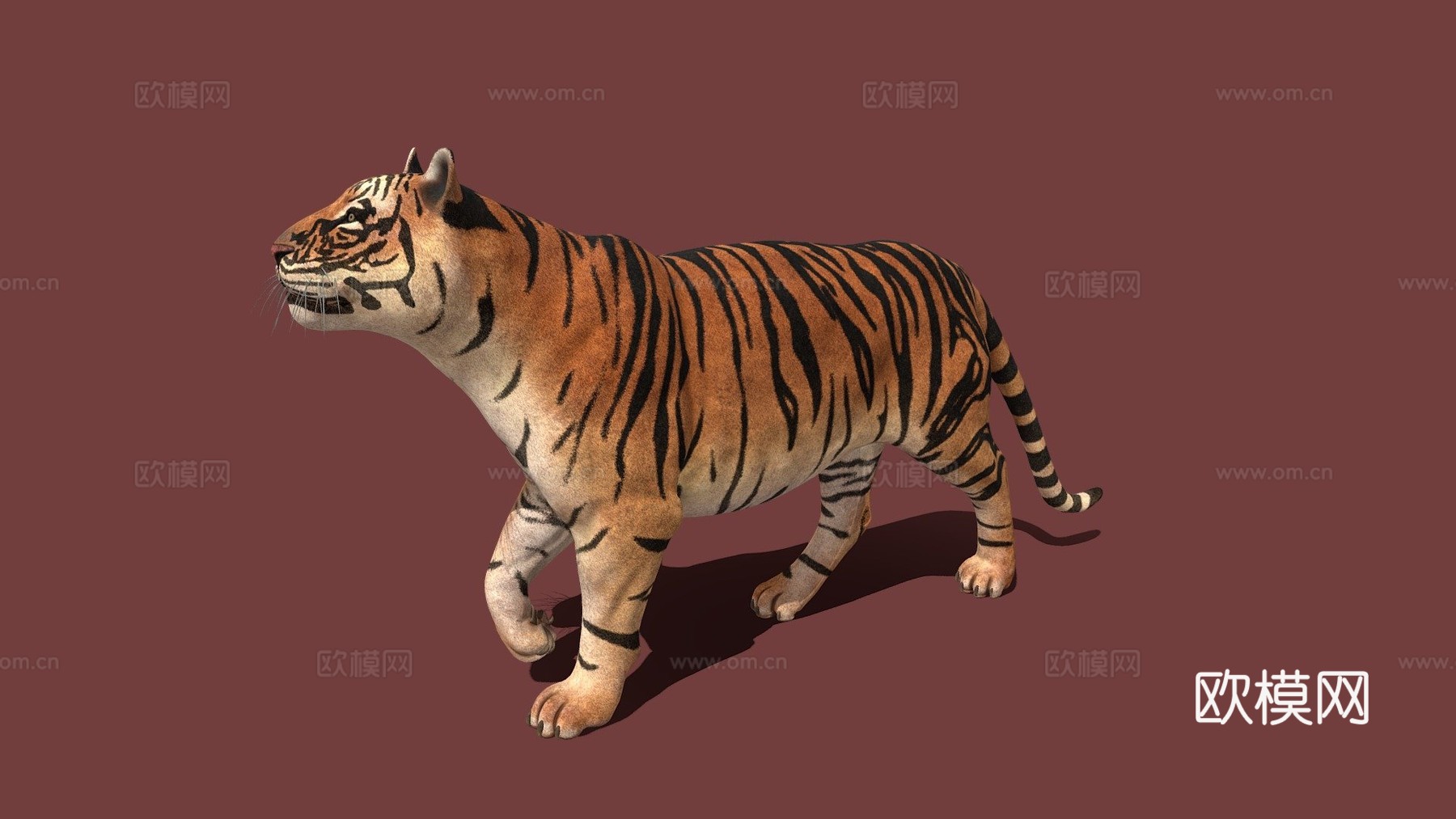 老虎3d模型