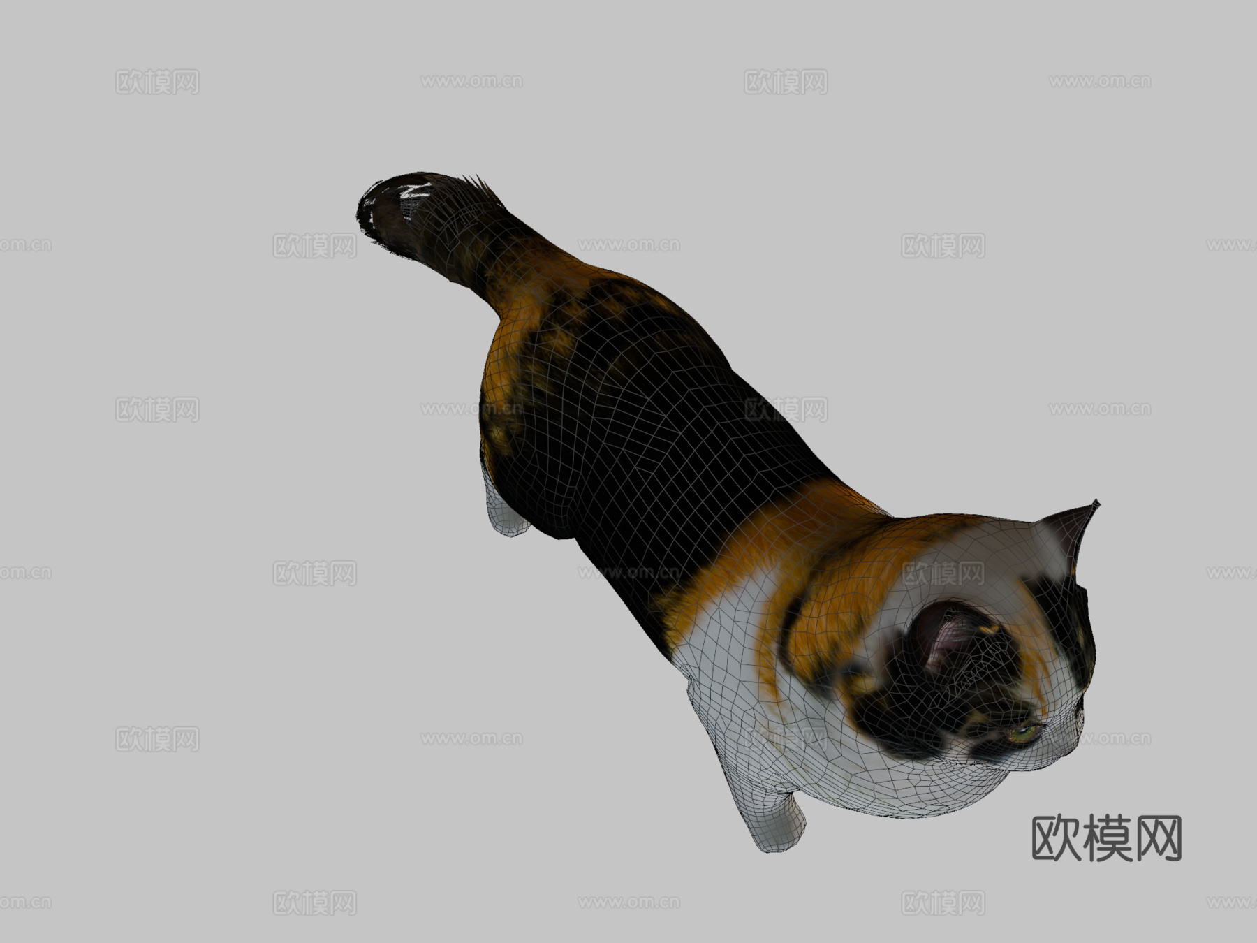 曼基康猫3d模型