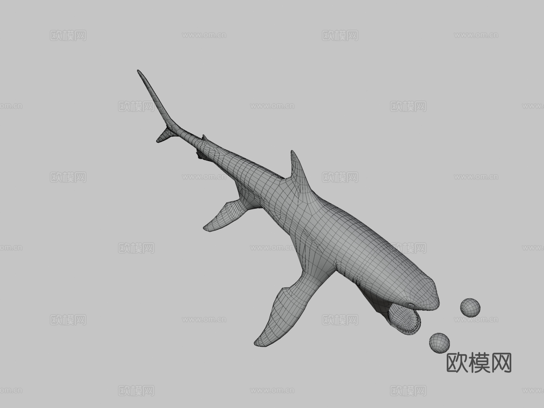 大白鲨3d模型