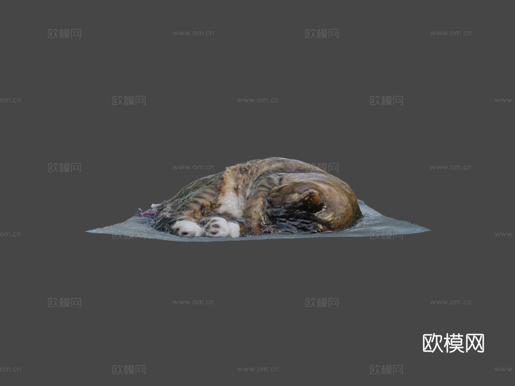 我的另一只猫3d模型