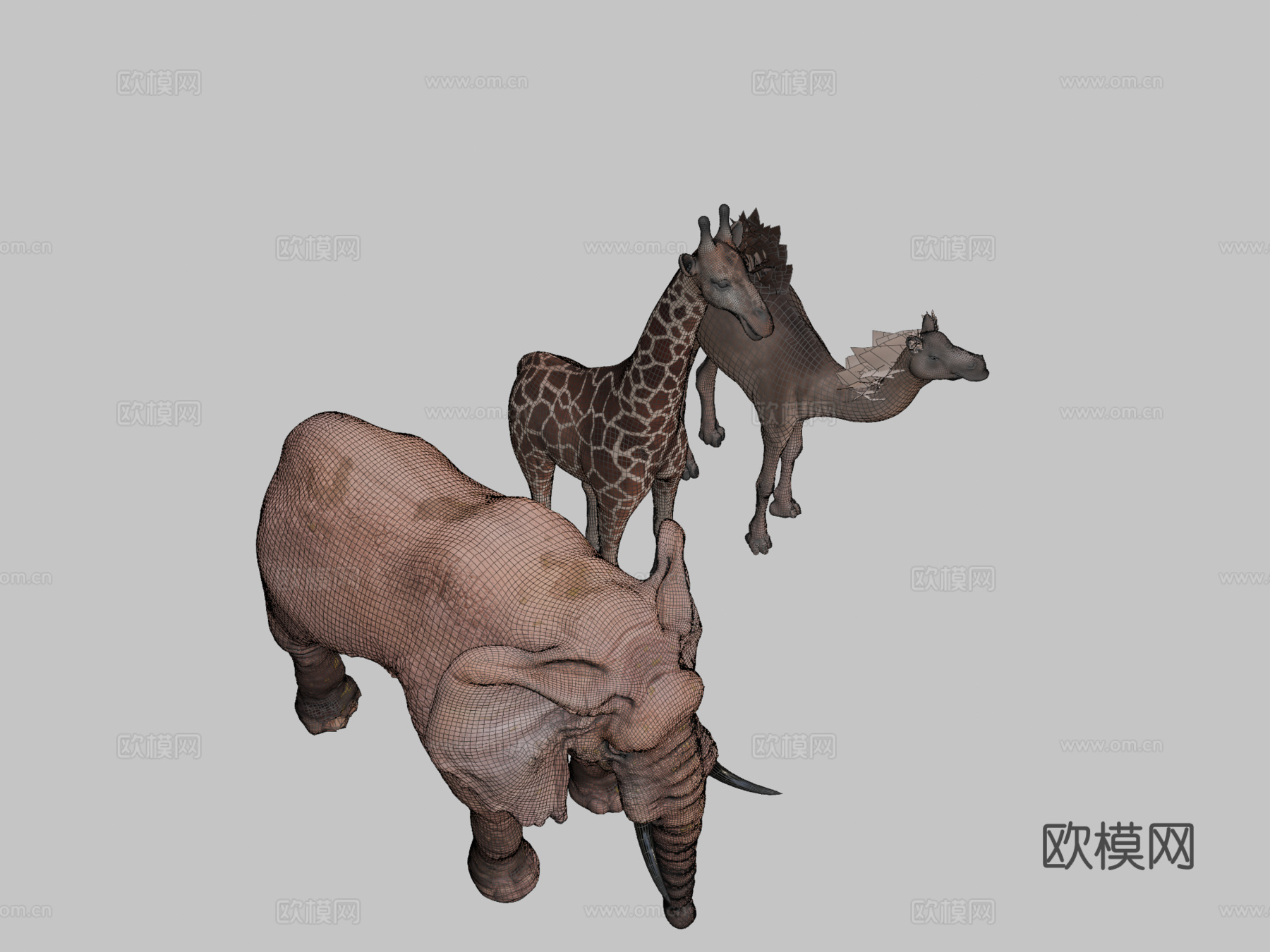 动物包13d模型