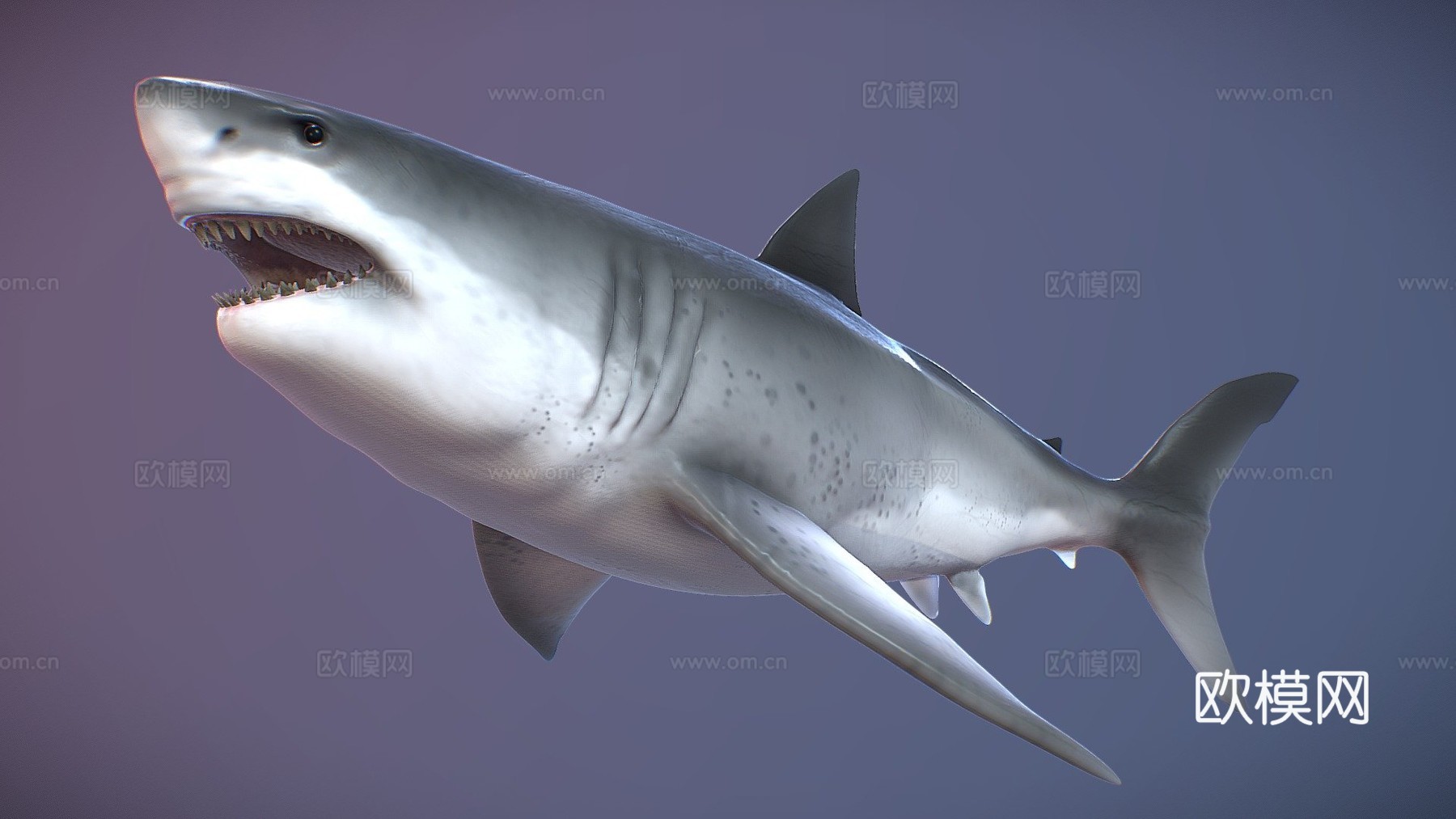 巨齿鲨3d模型