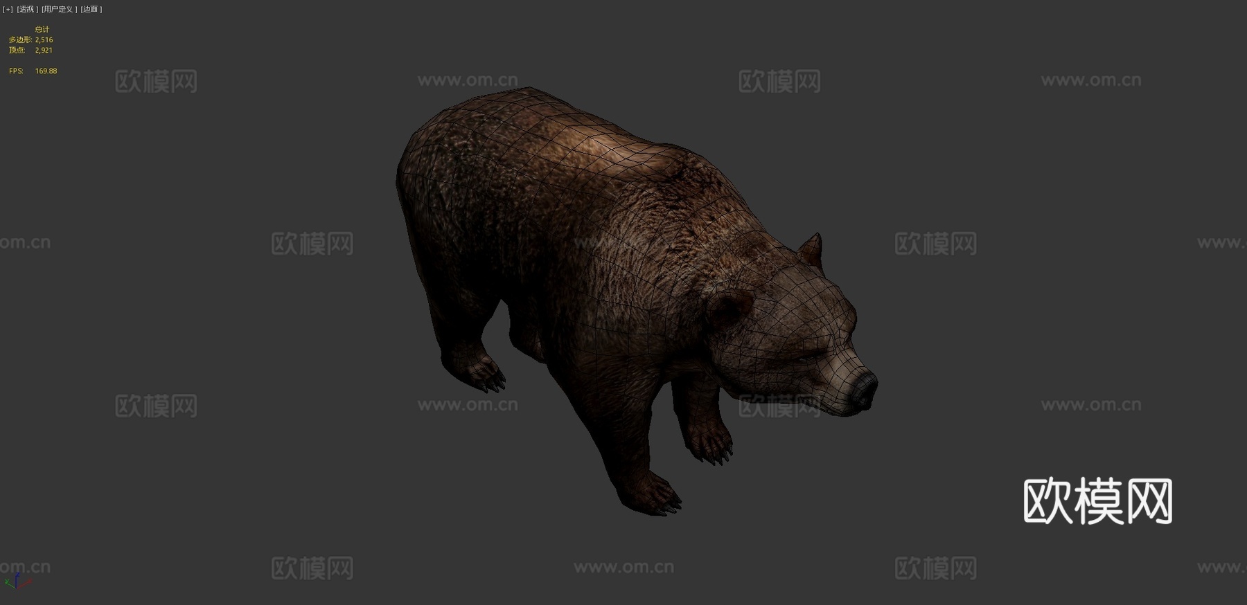 熊13d模型