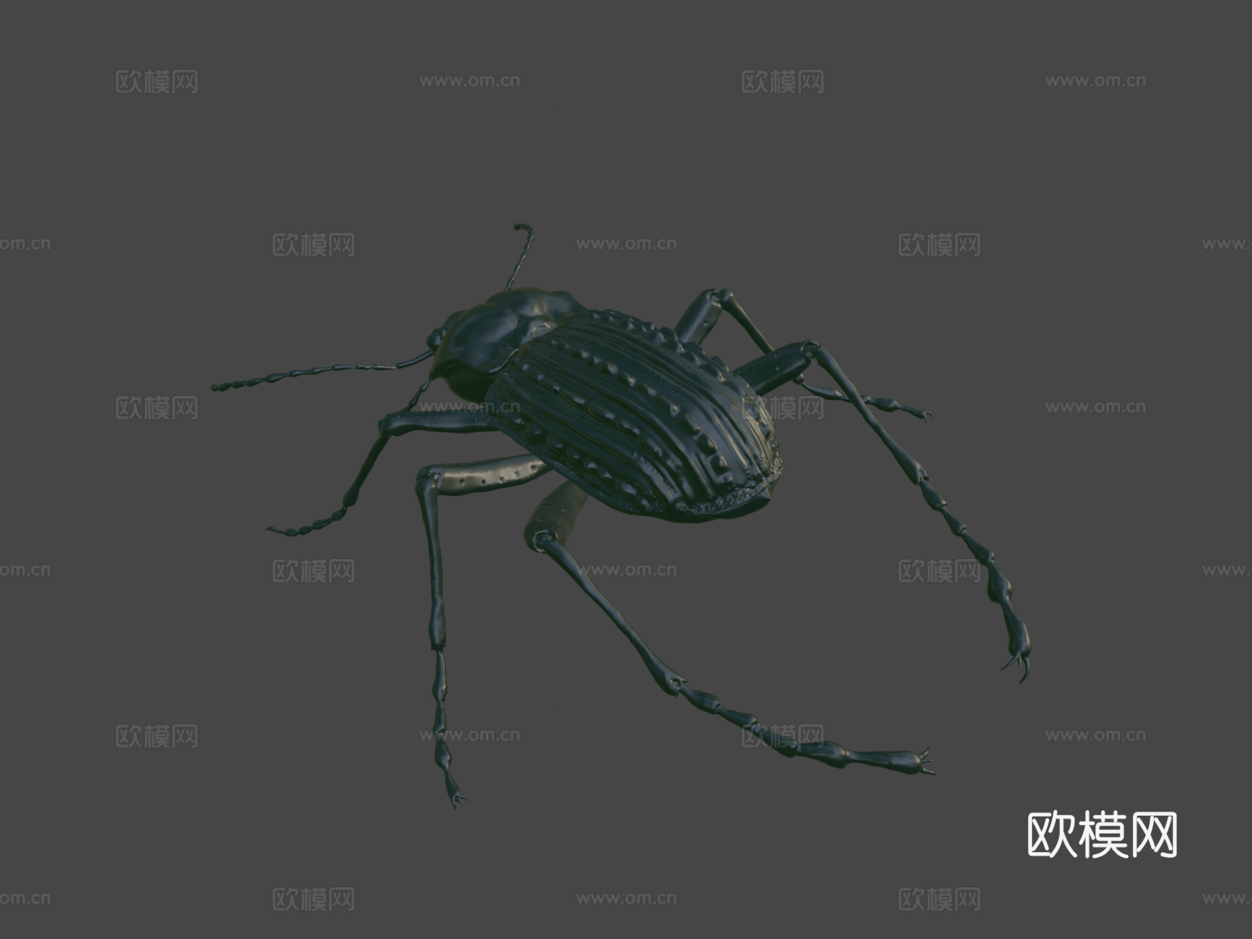 Futrinka(作者Zsofi Kezes)3d模型