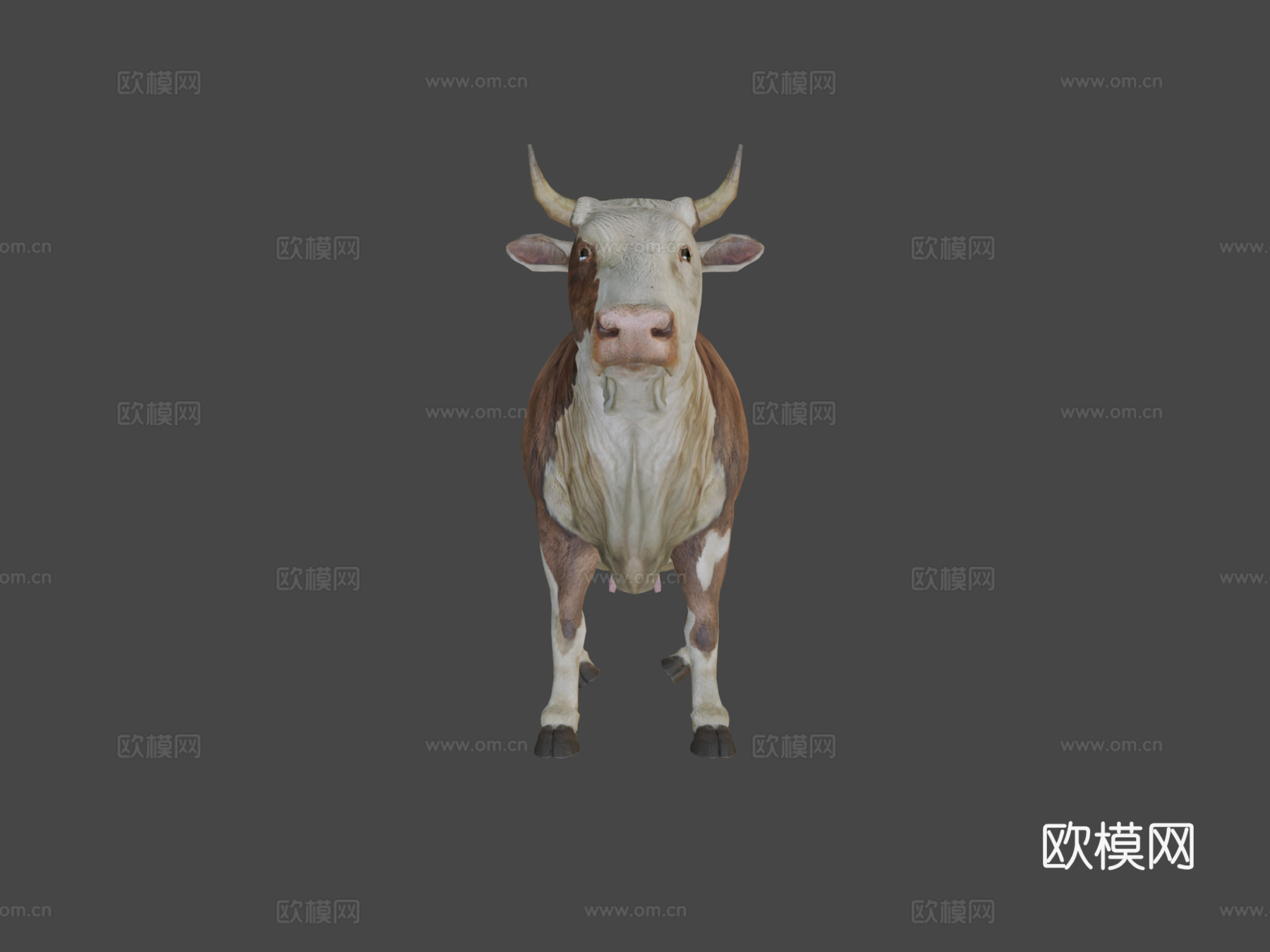 牛-公牛3d模型