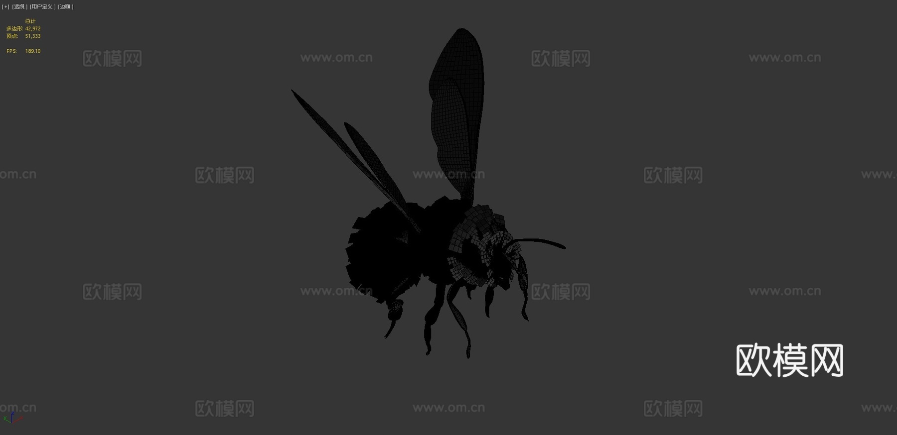 蜜蜂3d模型
