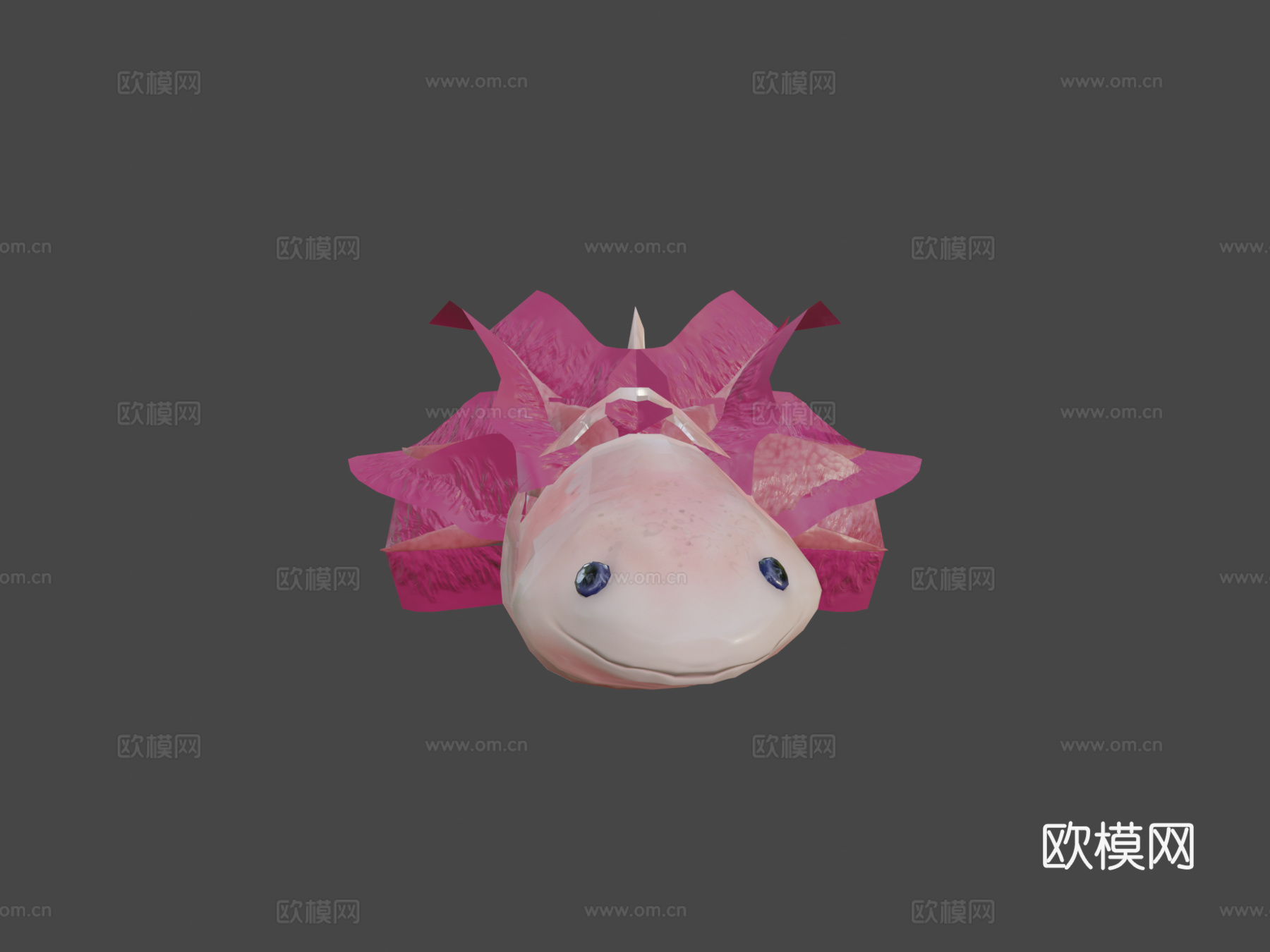 美西螈3d模型