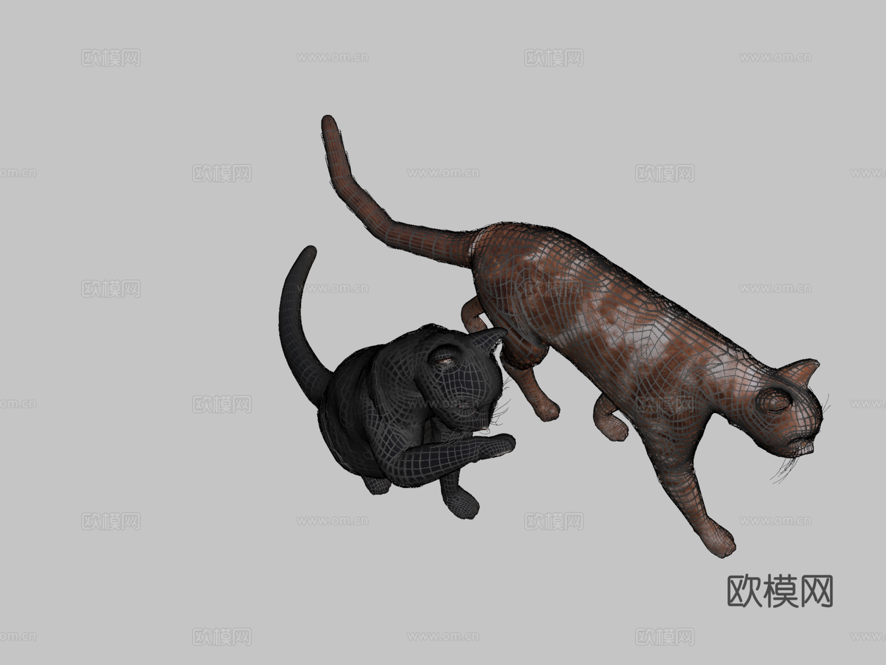 名叫玛吉的猫3d模型