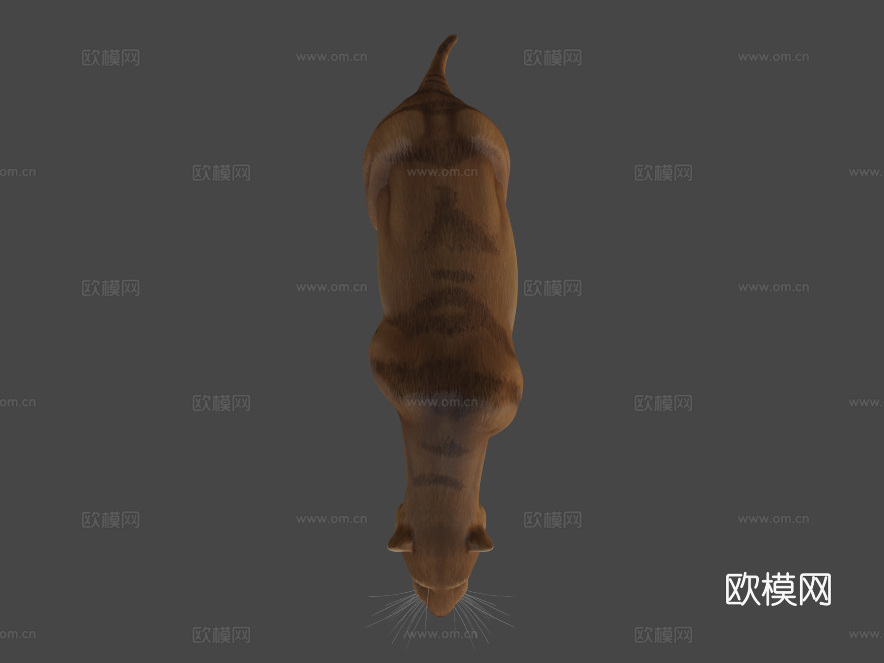 剑齿猫-毁灭刃齿虎3d模型