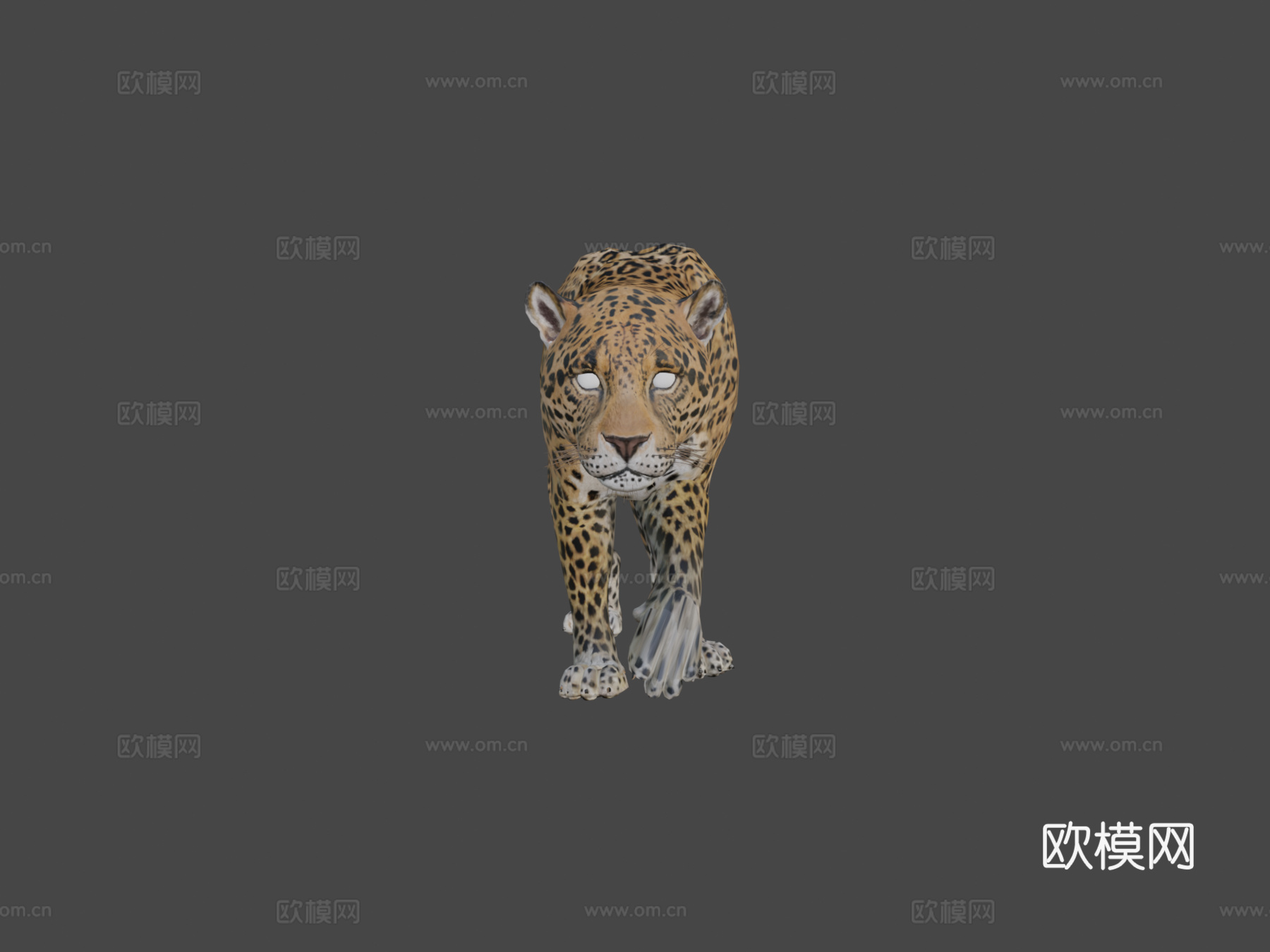 美洲虎3d模型