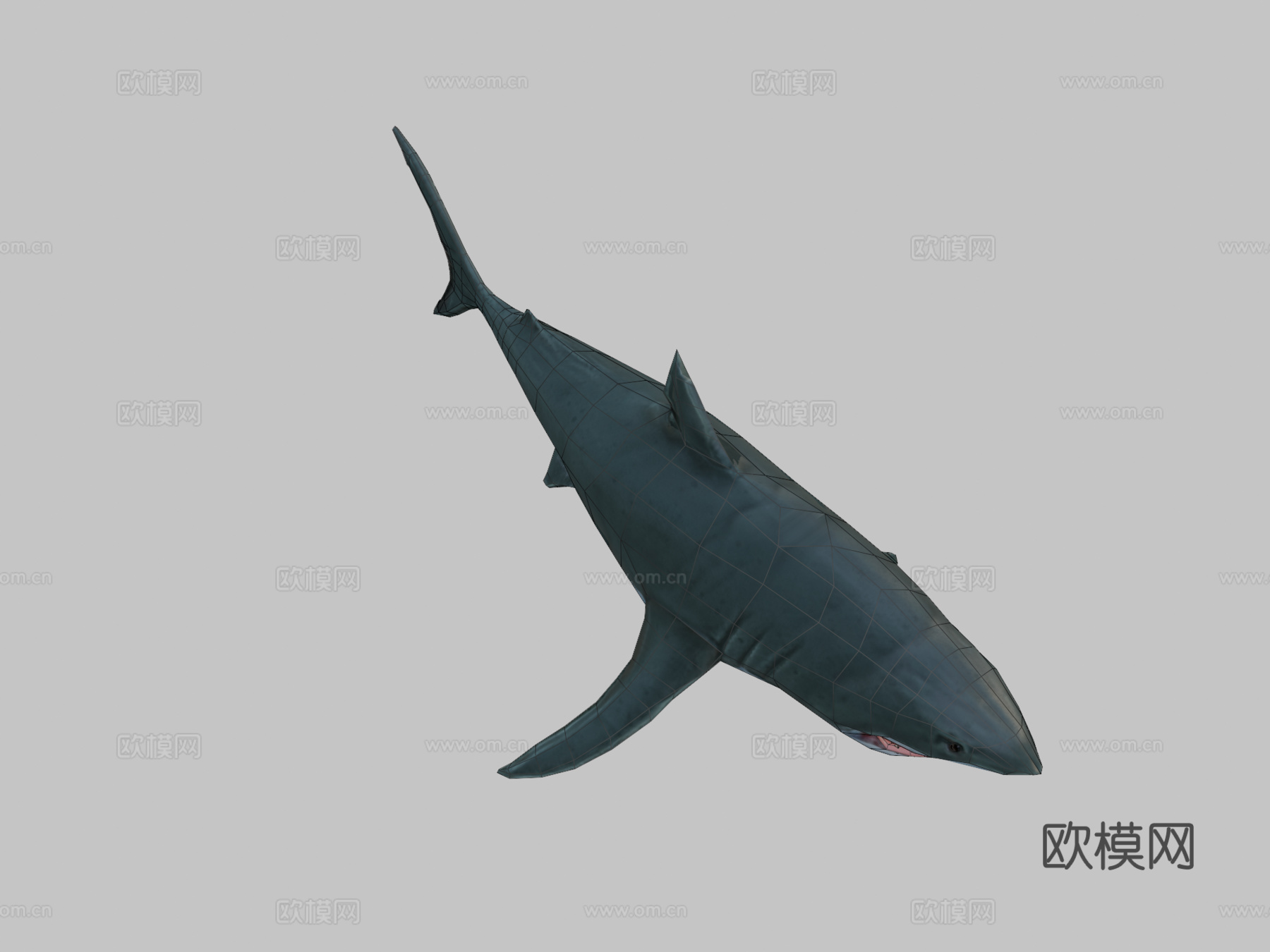 大白鲨(马特乌斯·施瓦布)_23d模型