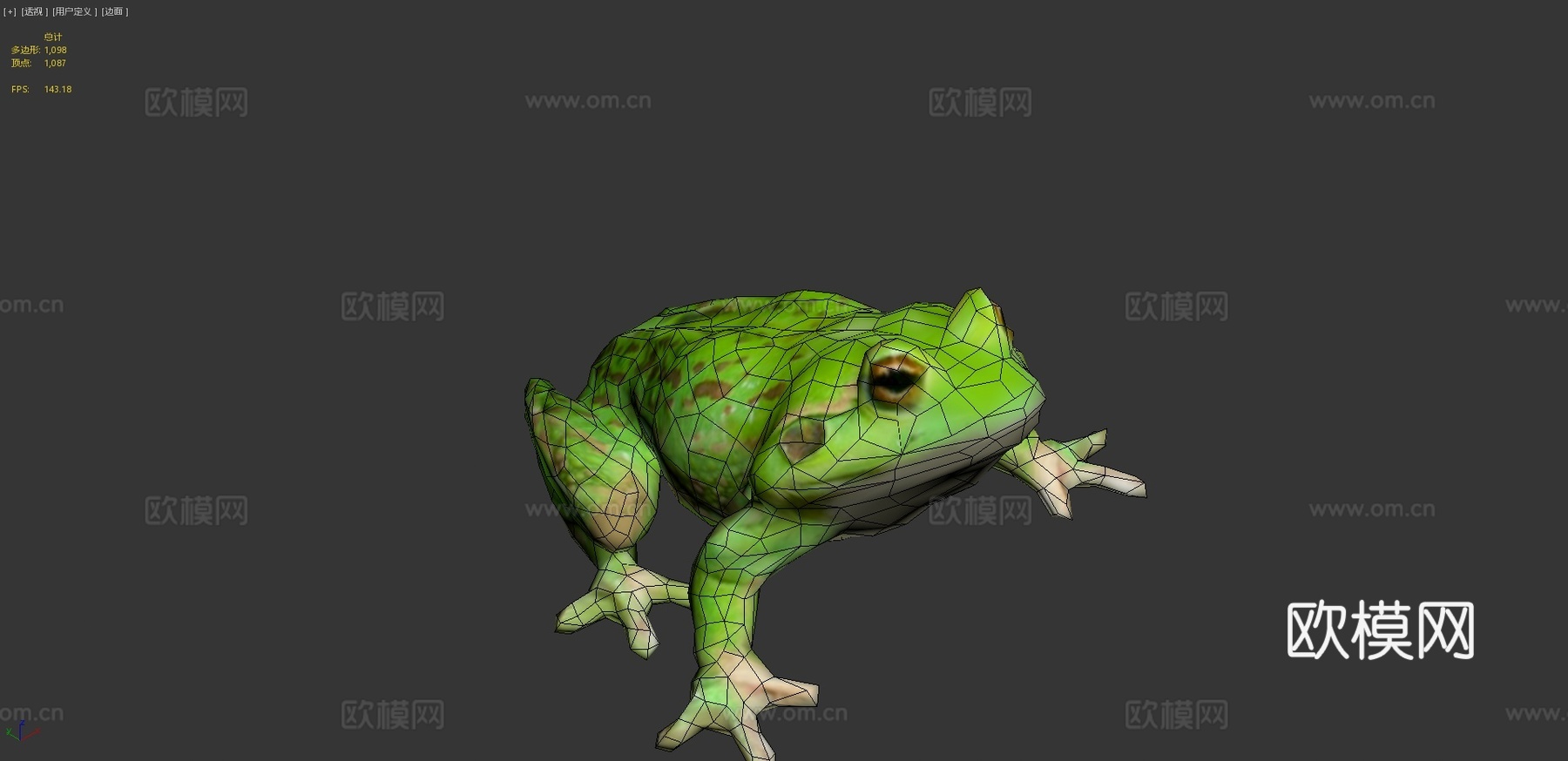 青蛙3d模型