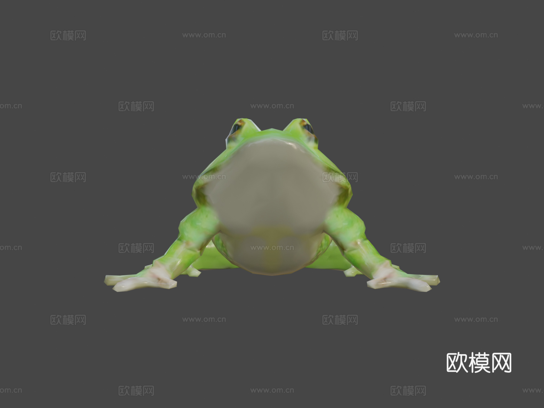 青蛙3d模型