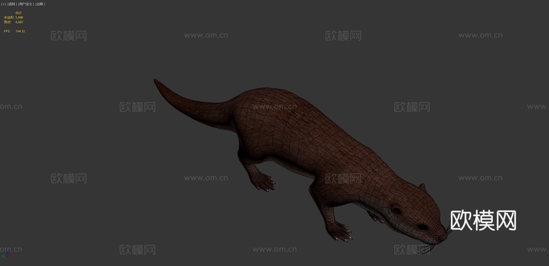 水獭3d模型