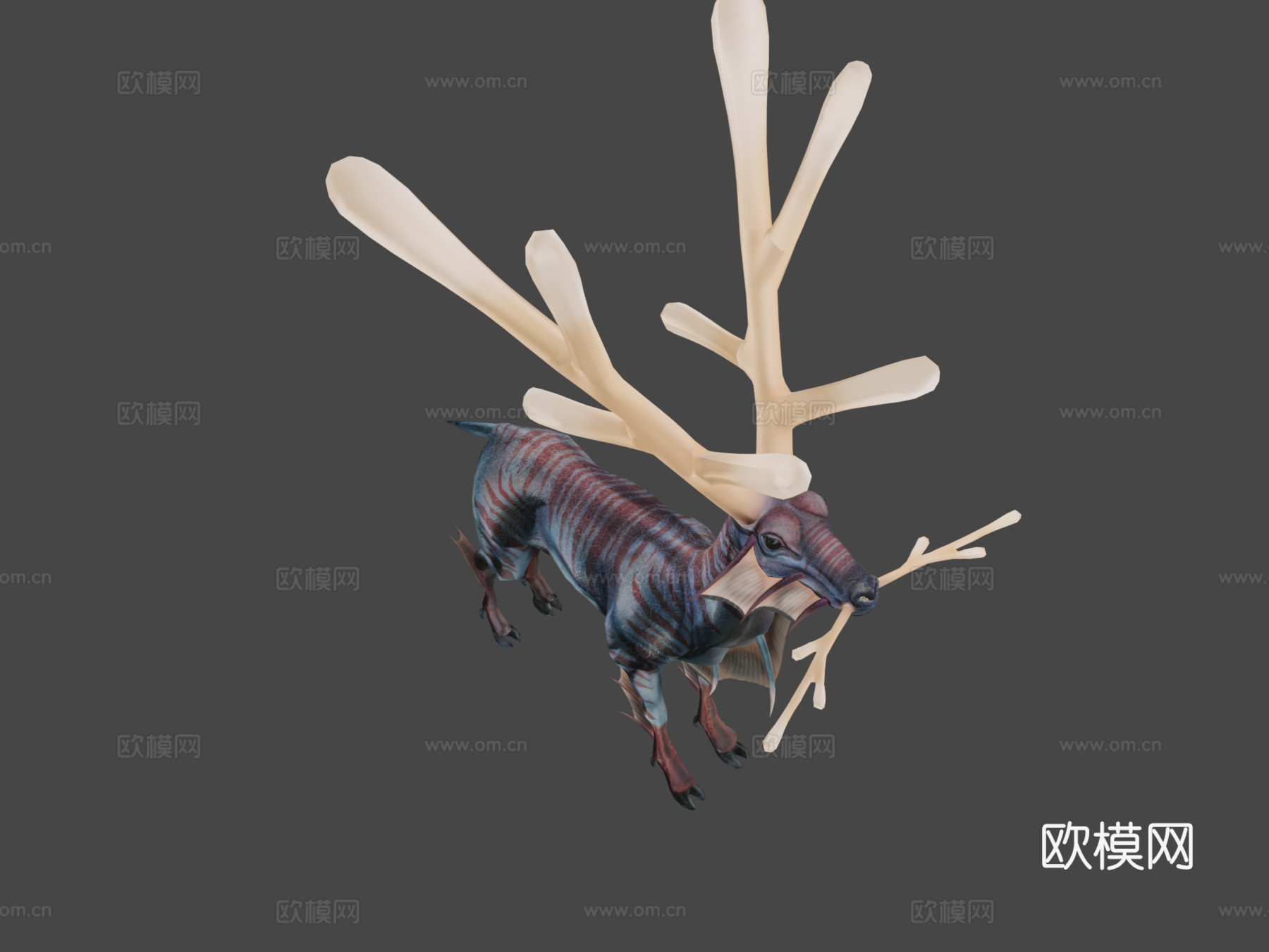 海葵鹿3d模型