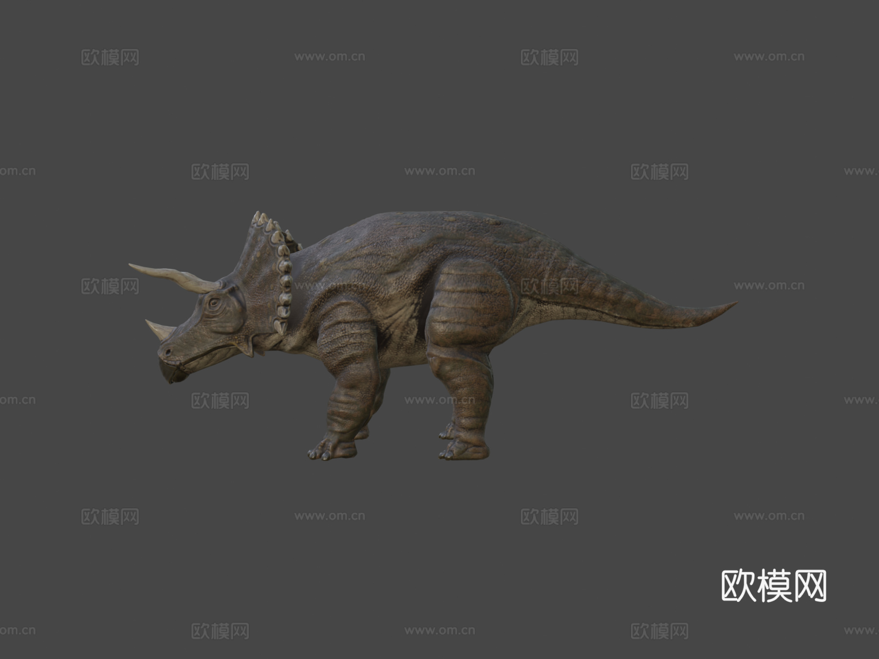三角龙恐龙3d模型
