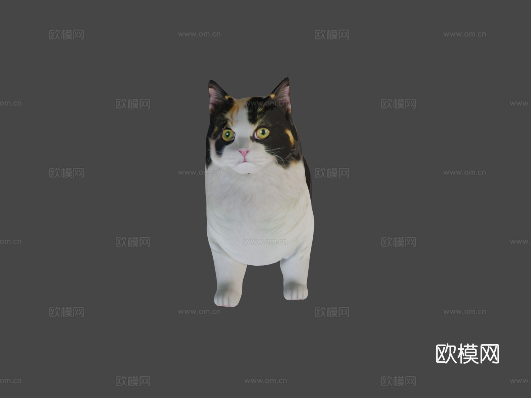 曼基康猫3d模型