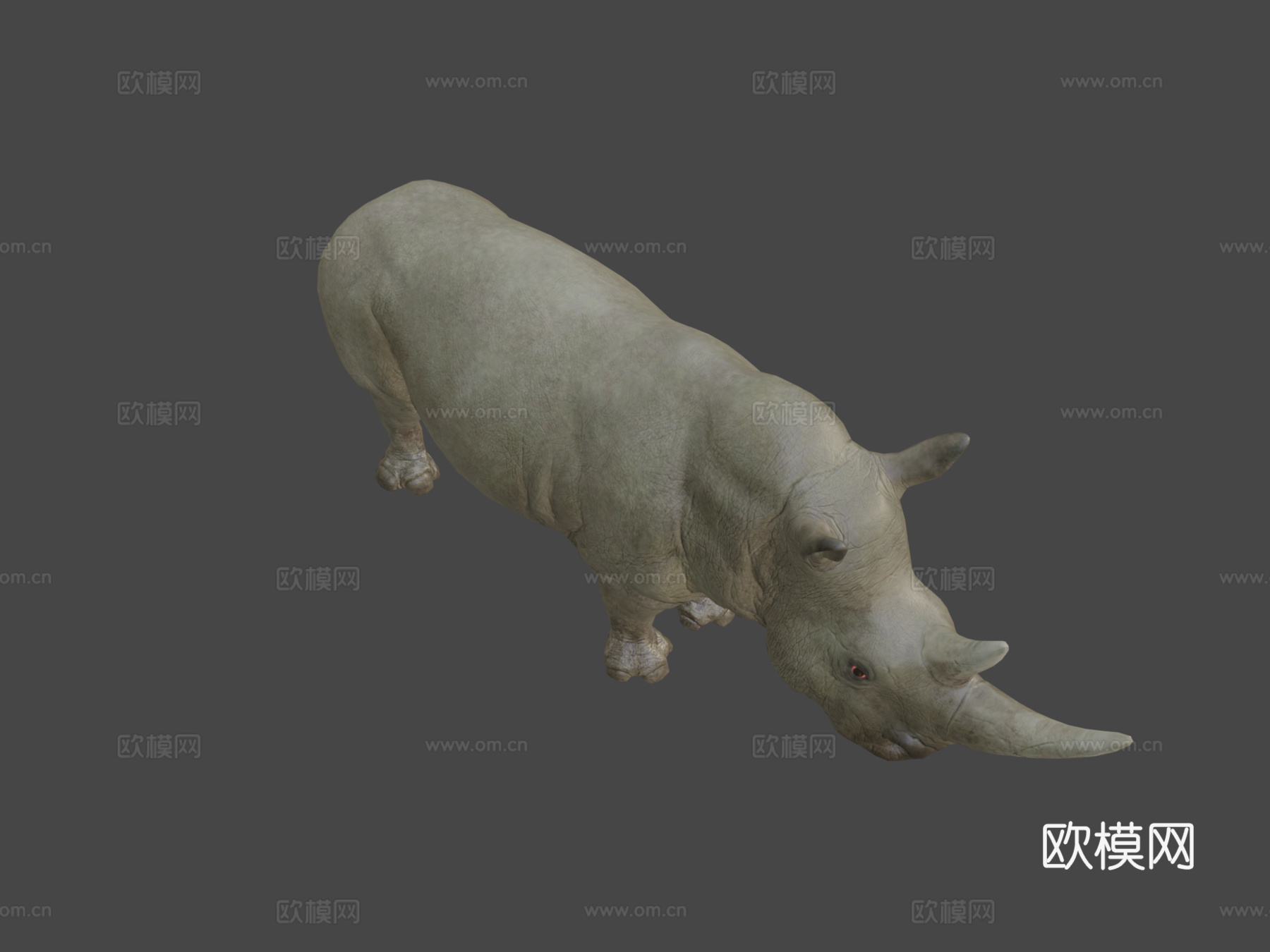犀牛动画集3d模型