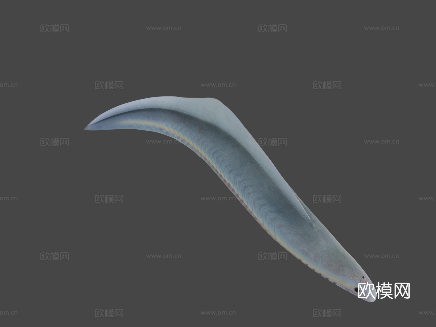 丰娇昆明鱼3d模型