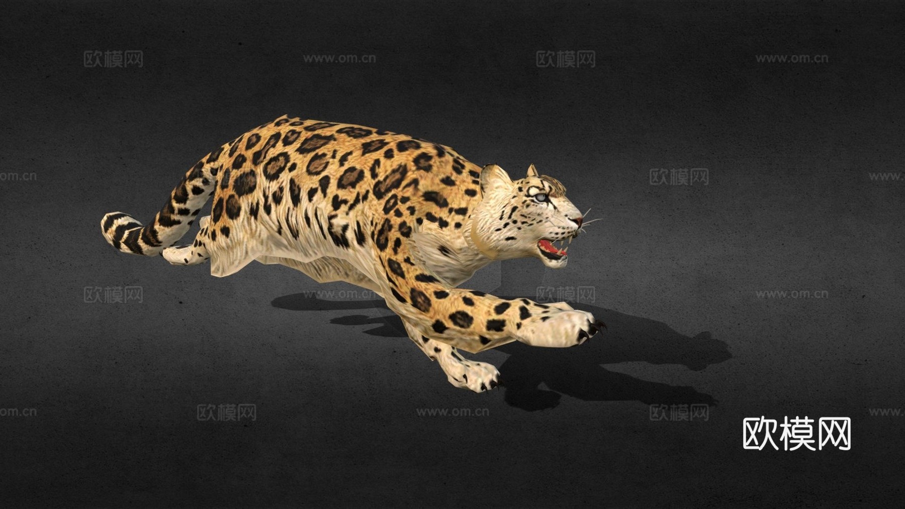 豹子奔跑动画3d模型