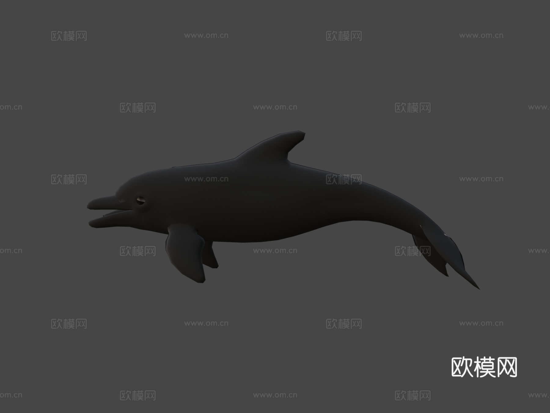 海豚3d模型
