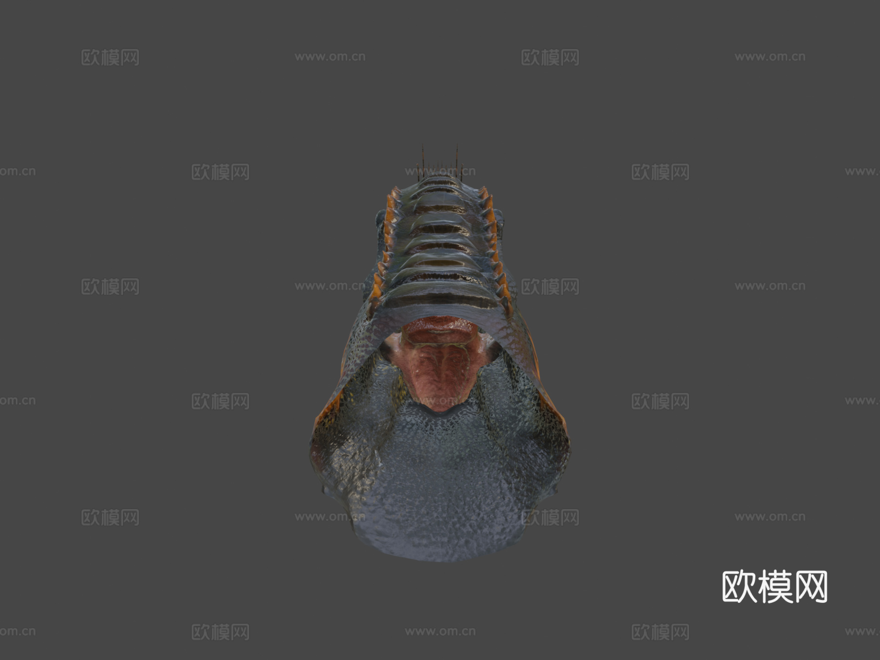 印度盗龙头部雕刻[动画]3d模型