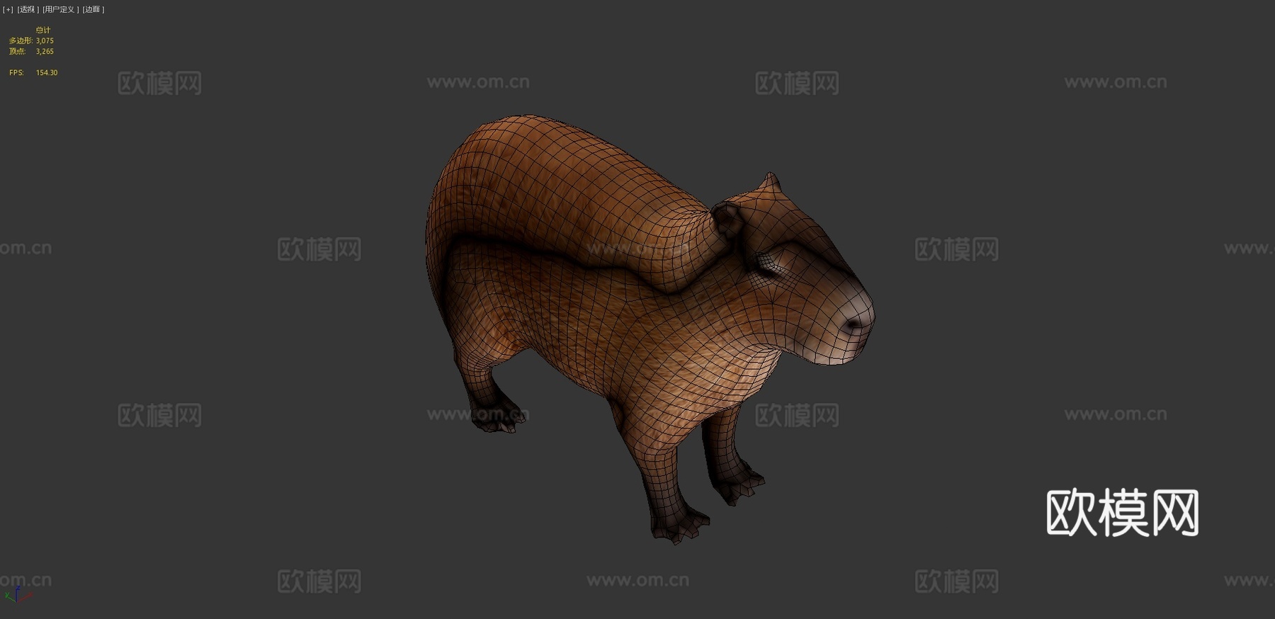 水豚3d模型