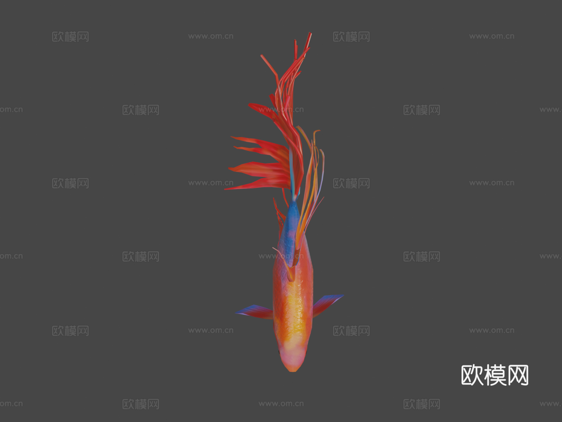 红色斗鱼3d模型