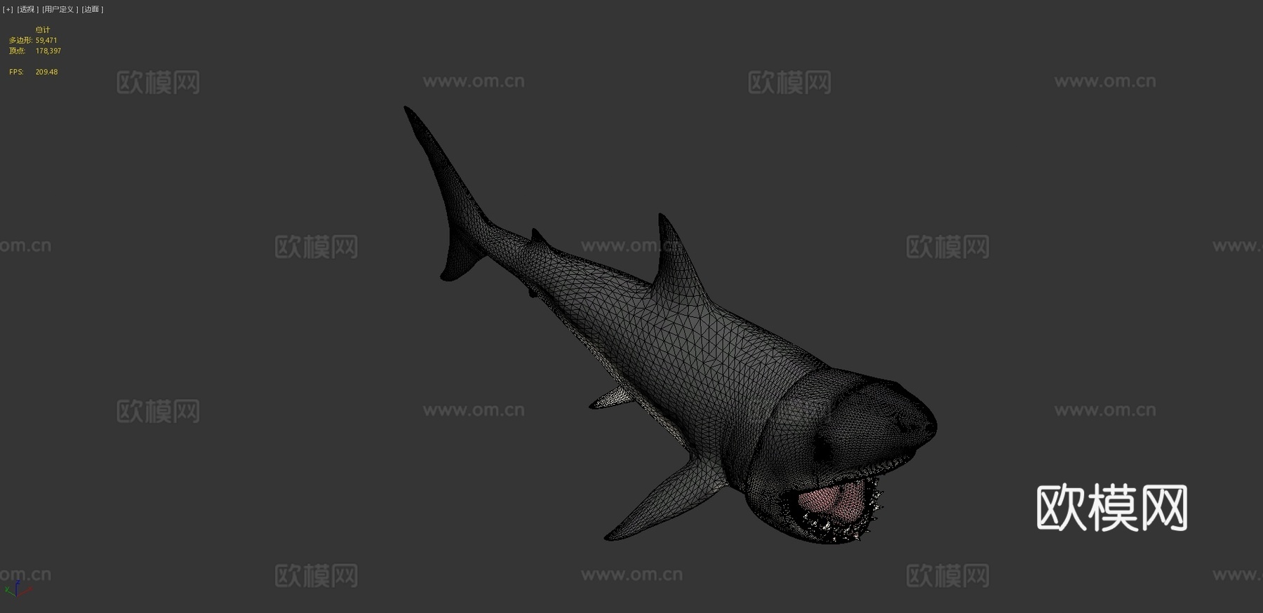 大白鲨3D模型3d模型