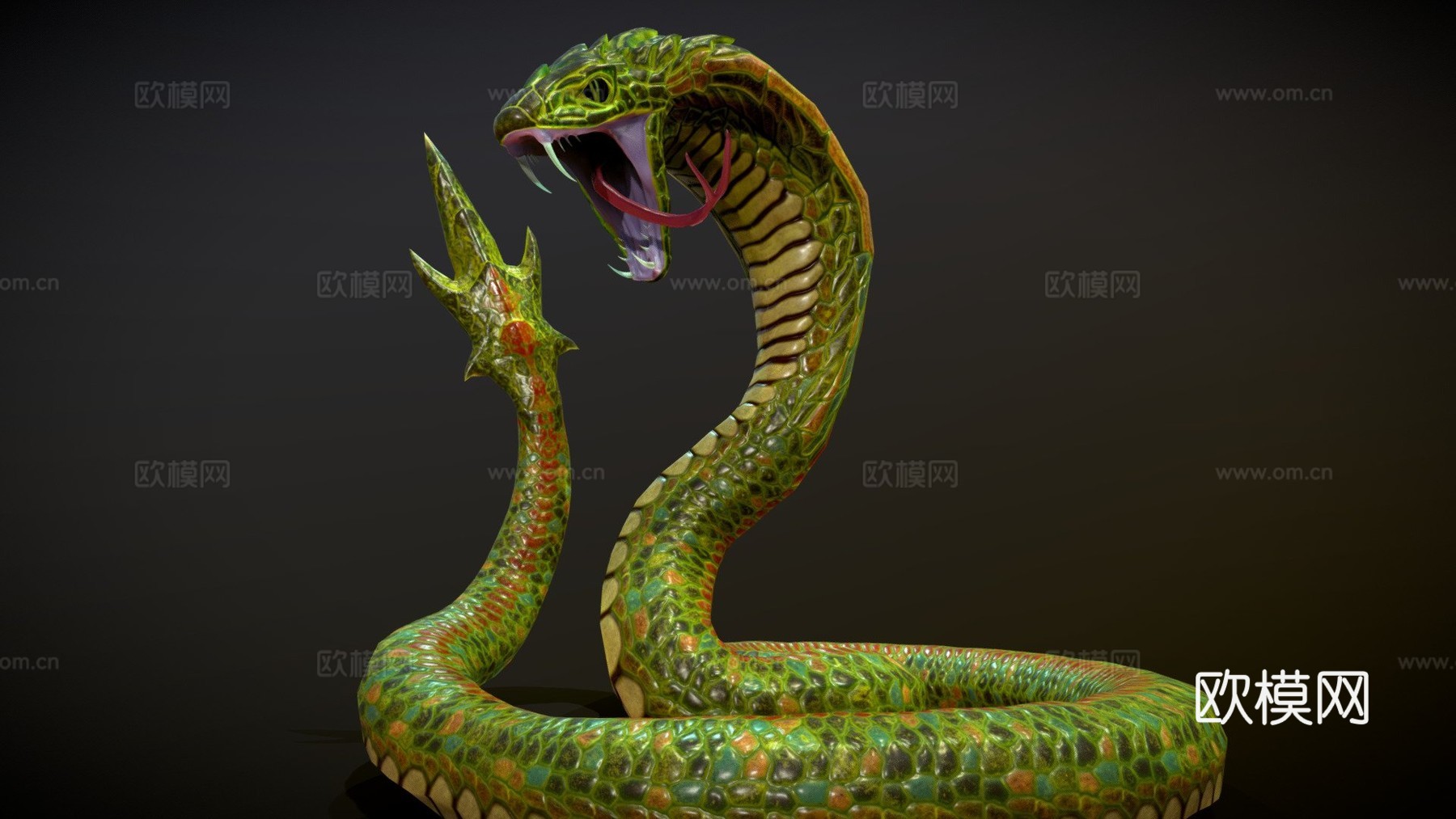 龙首眼镜蛇3d模型