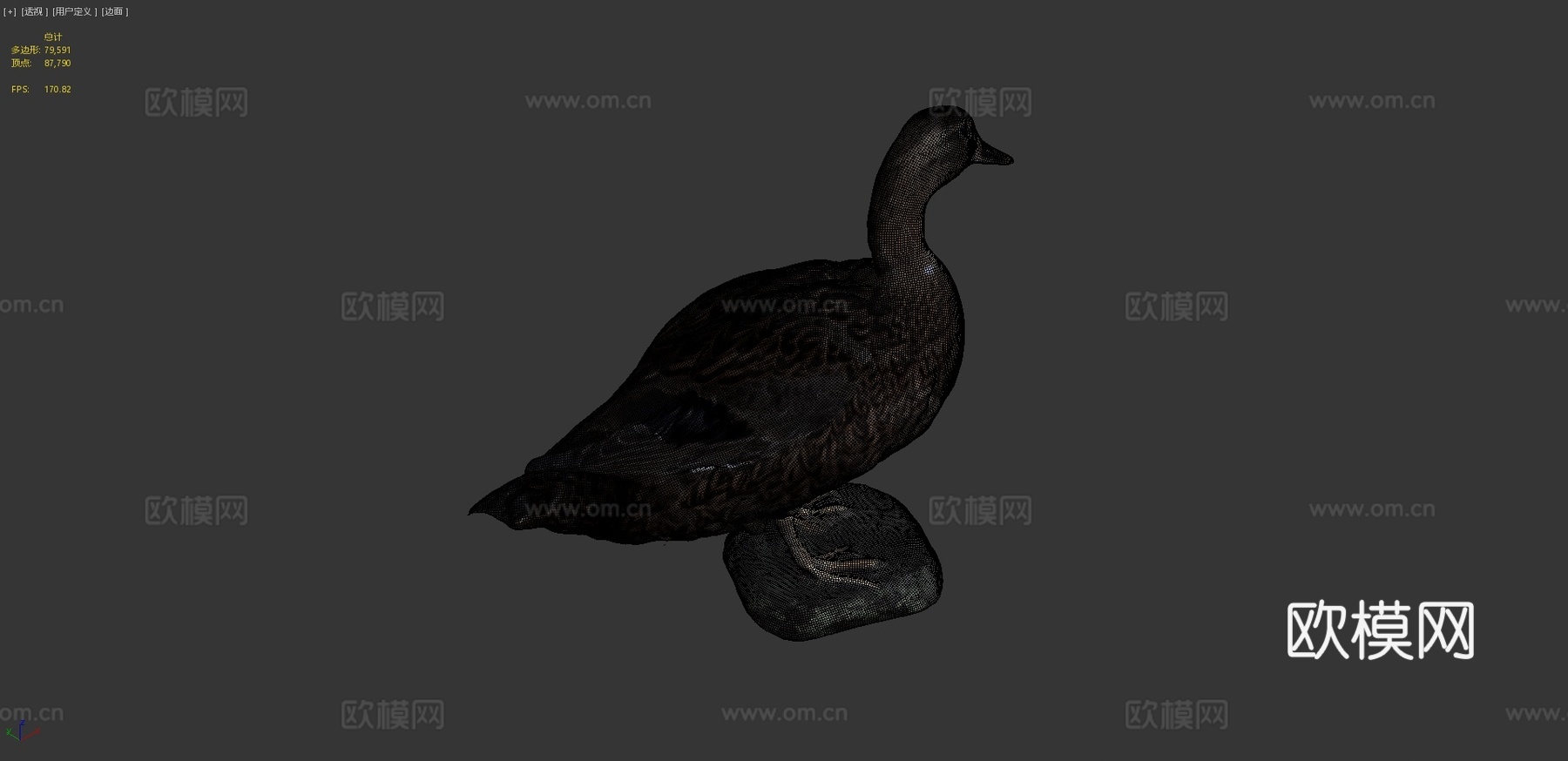 鸭子杂交种3d模型