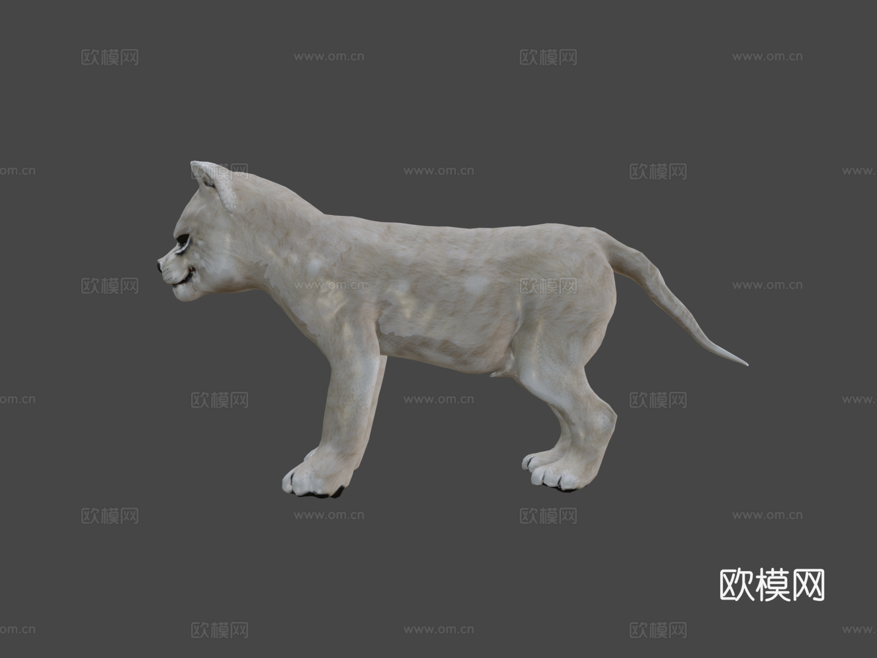 狮子动画低多边形3d模型