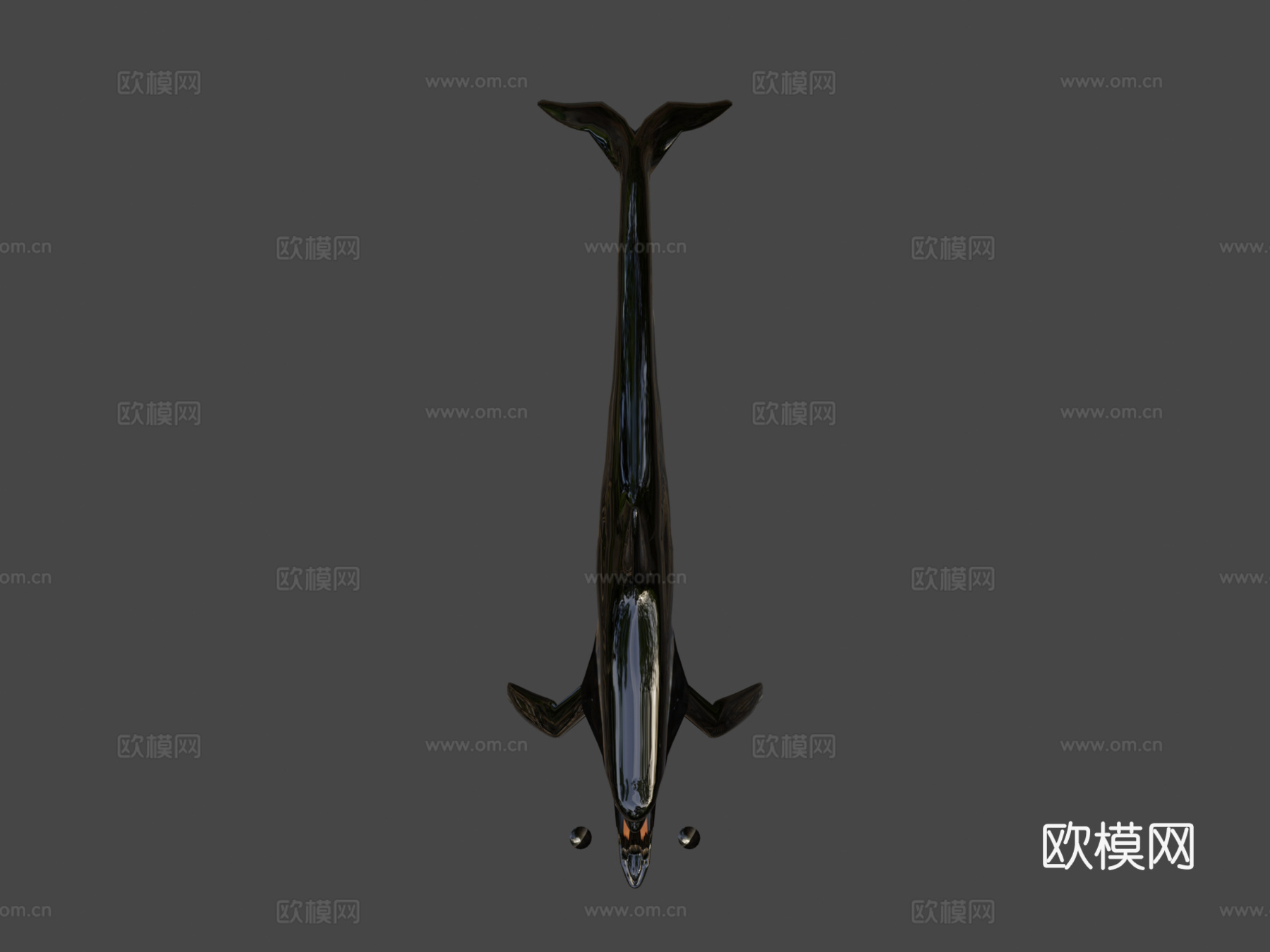 虎鲸3d模型