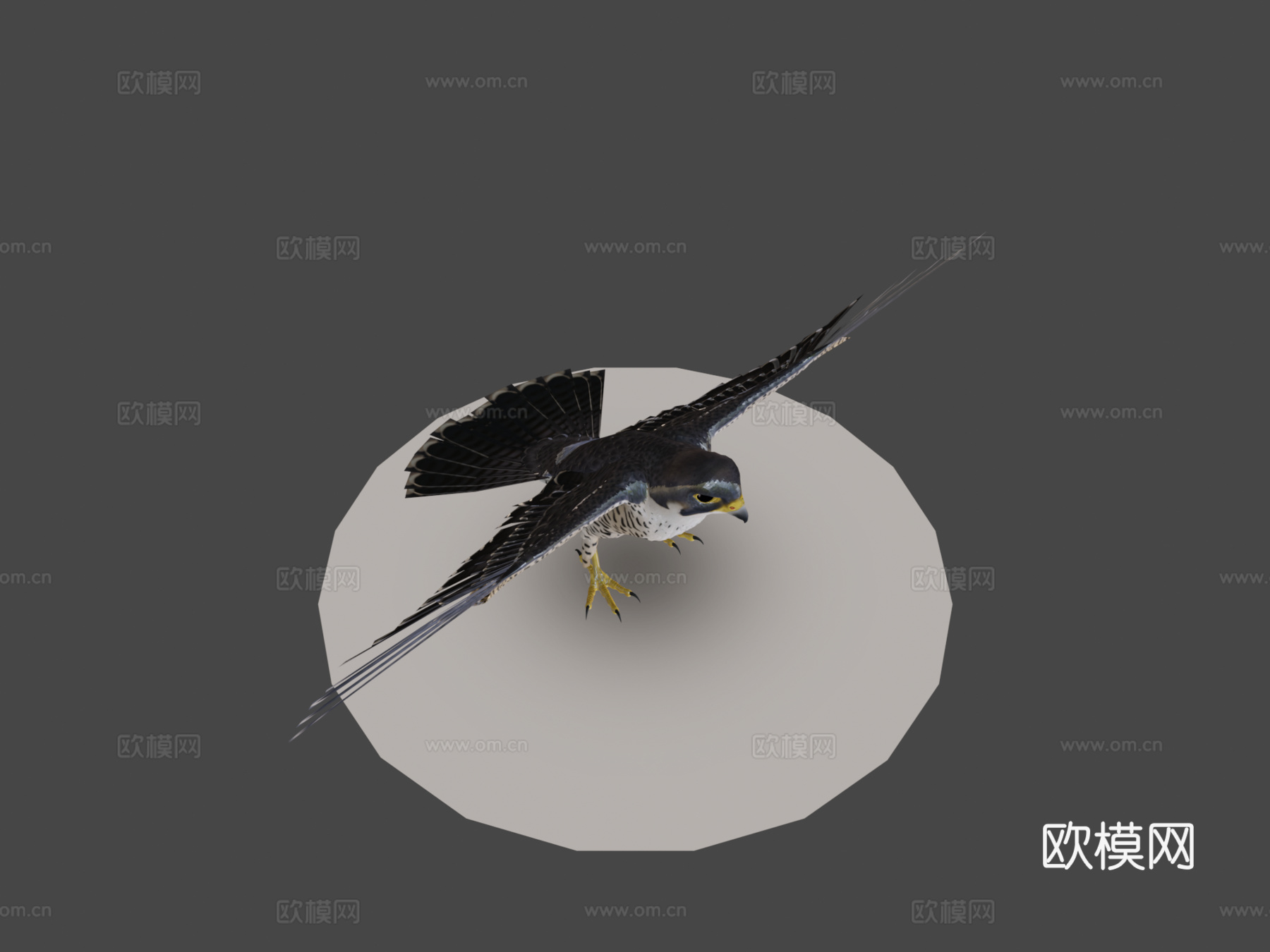 游隼3d模型