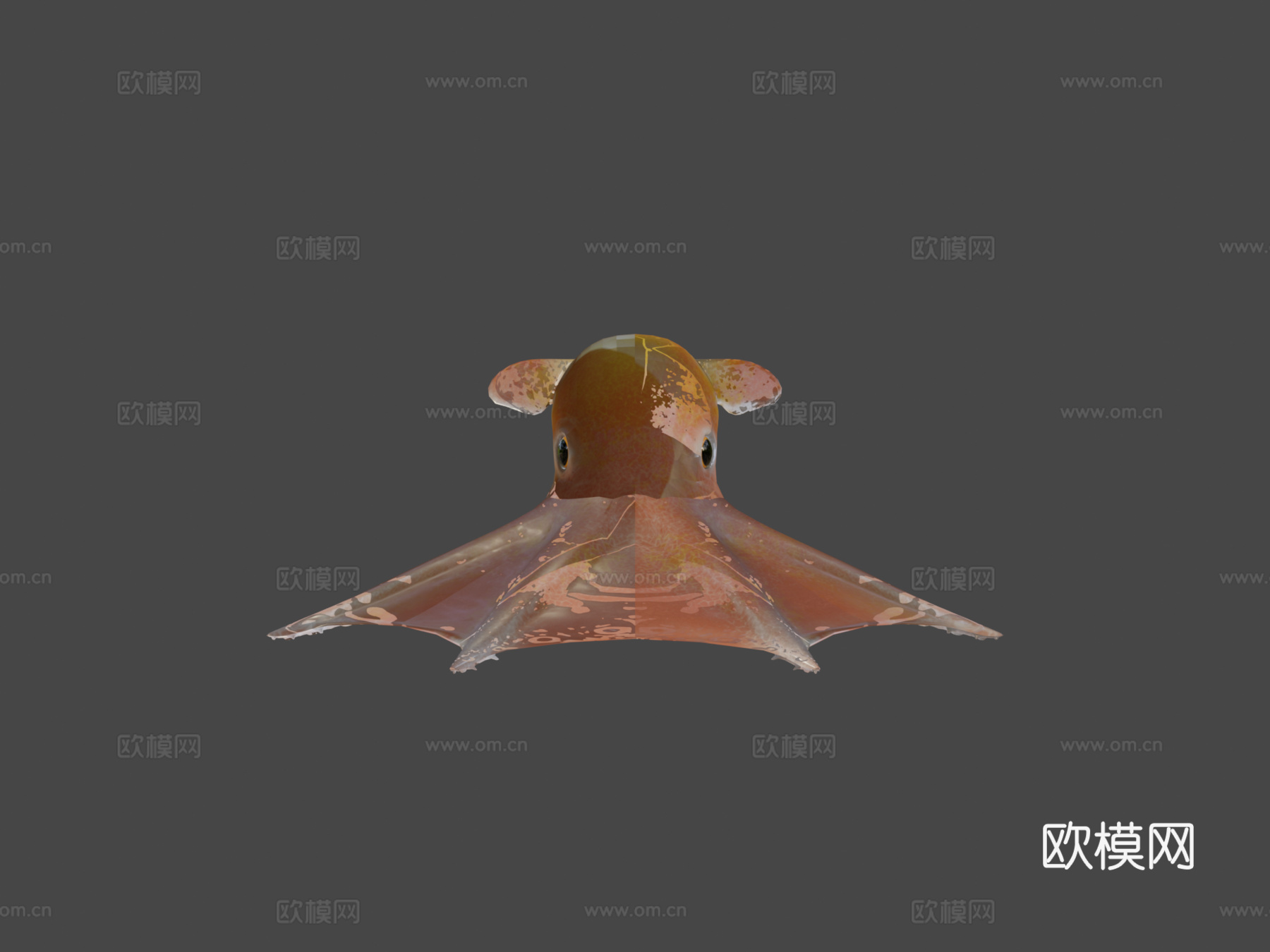 小飞象章鱼3d模型