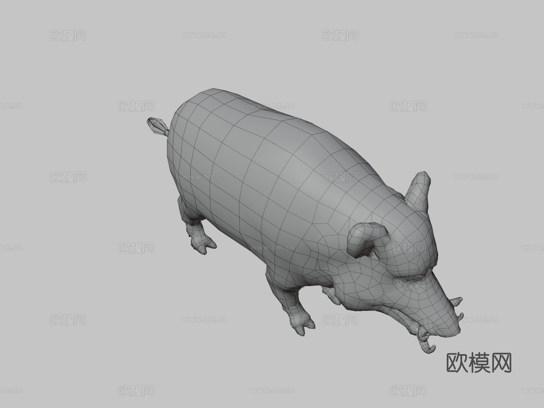 野猪动画3d模型